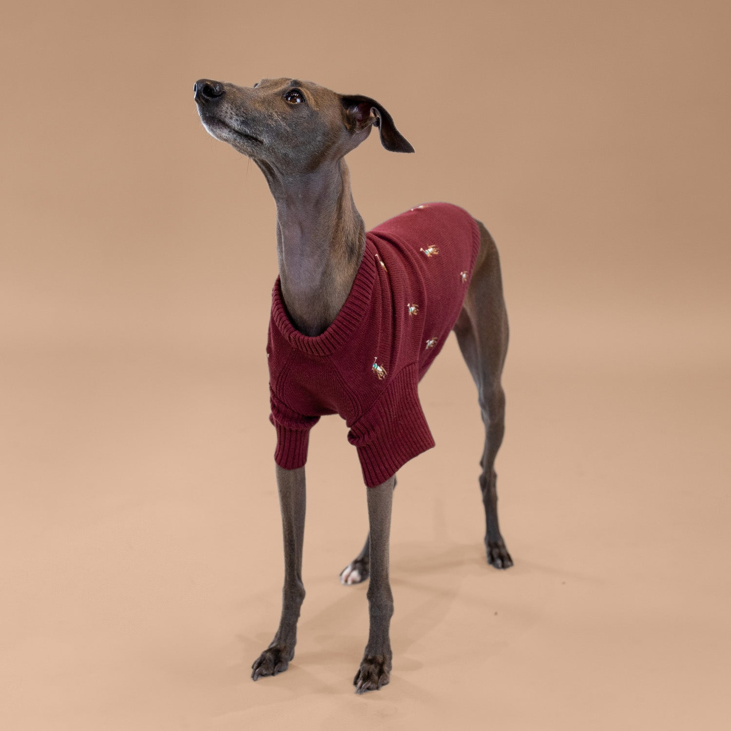 Ralph Lauren Logo Sweater