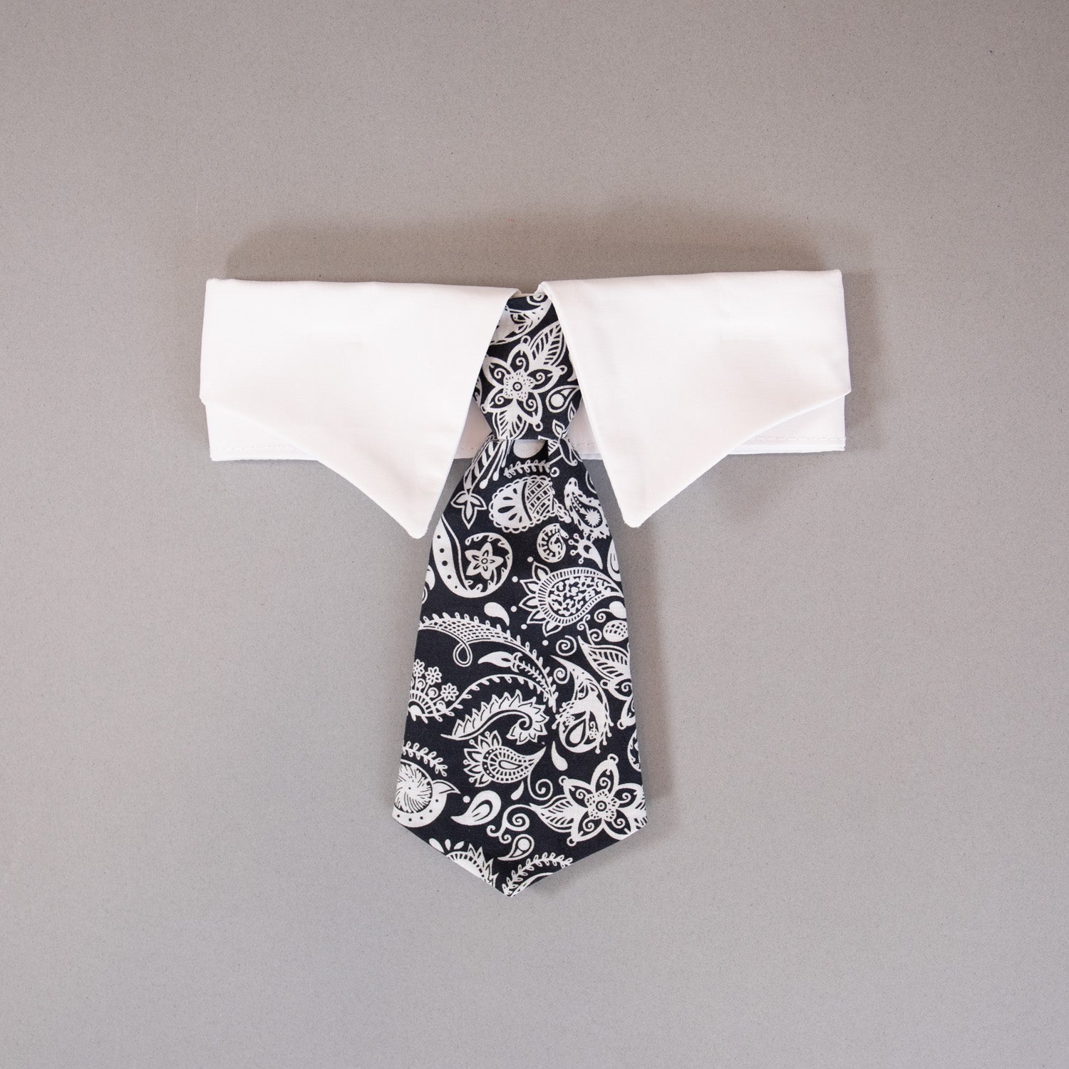 Paisley Tie