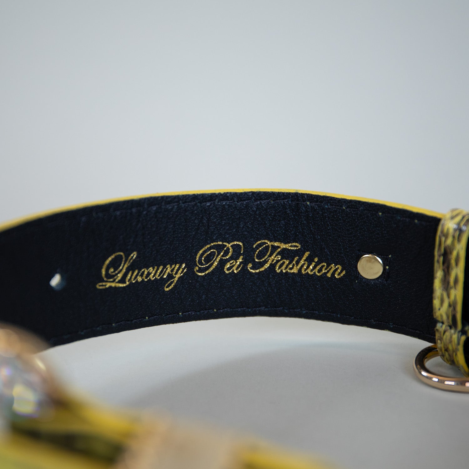Monarch Snakeprint Collars