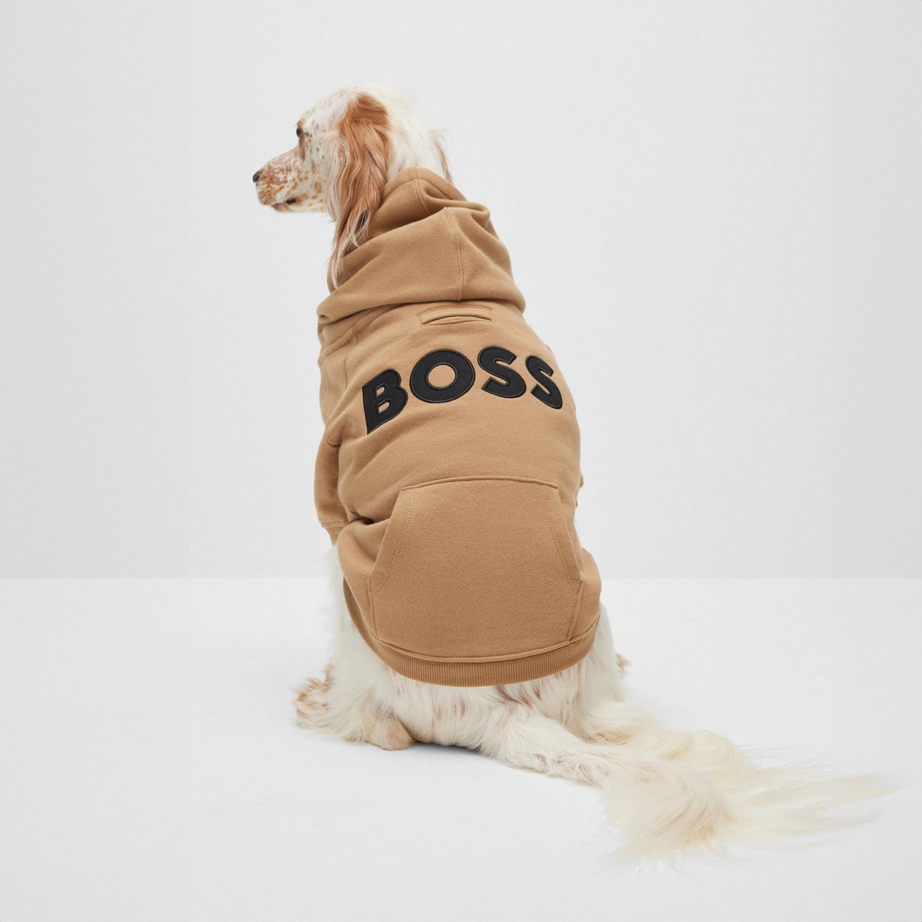 BOSS Logo Hoodie