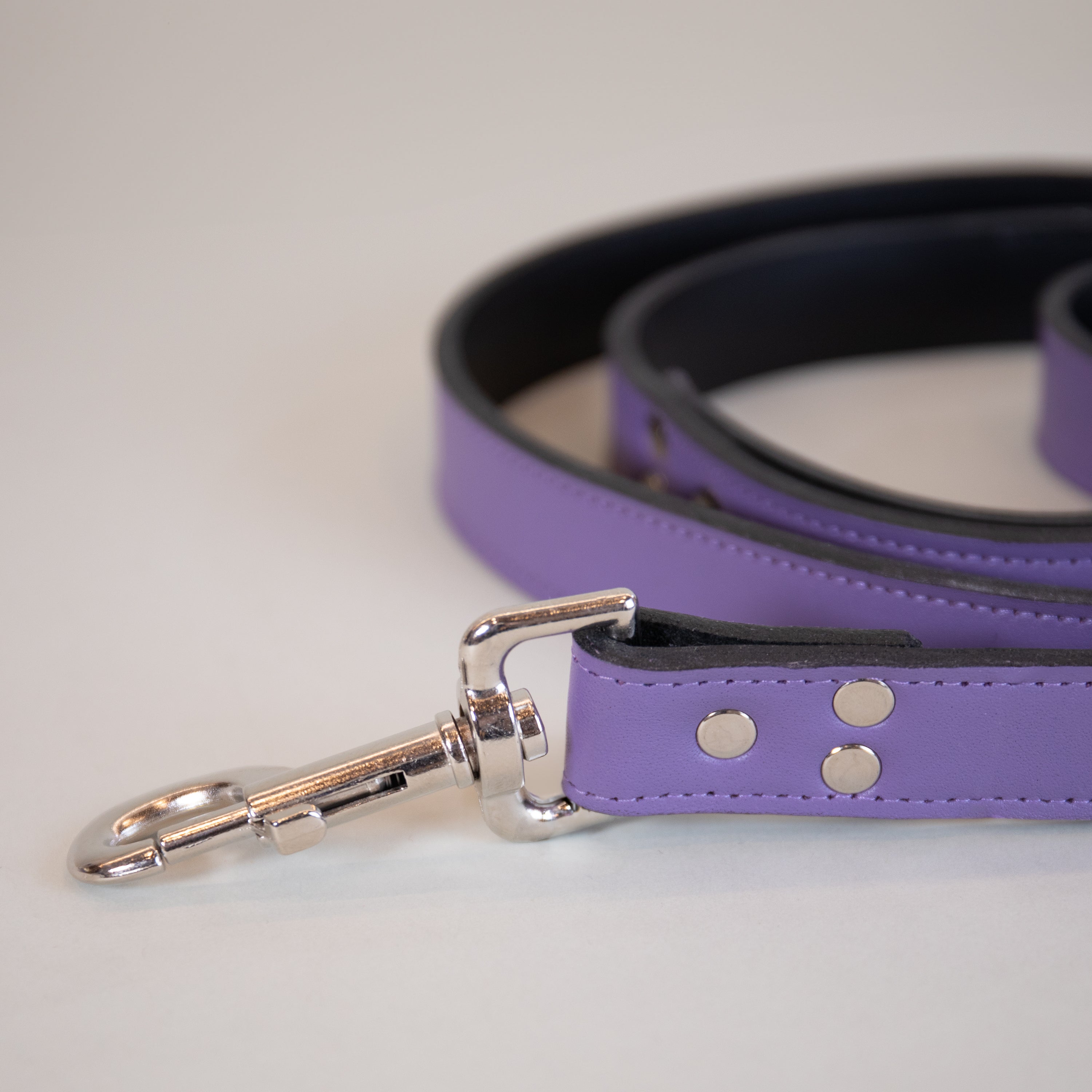 Arabian Night Leashes