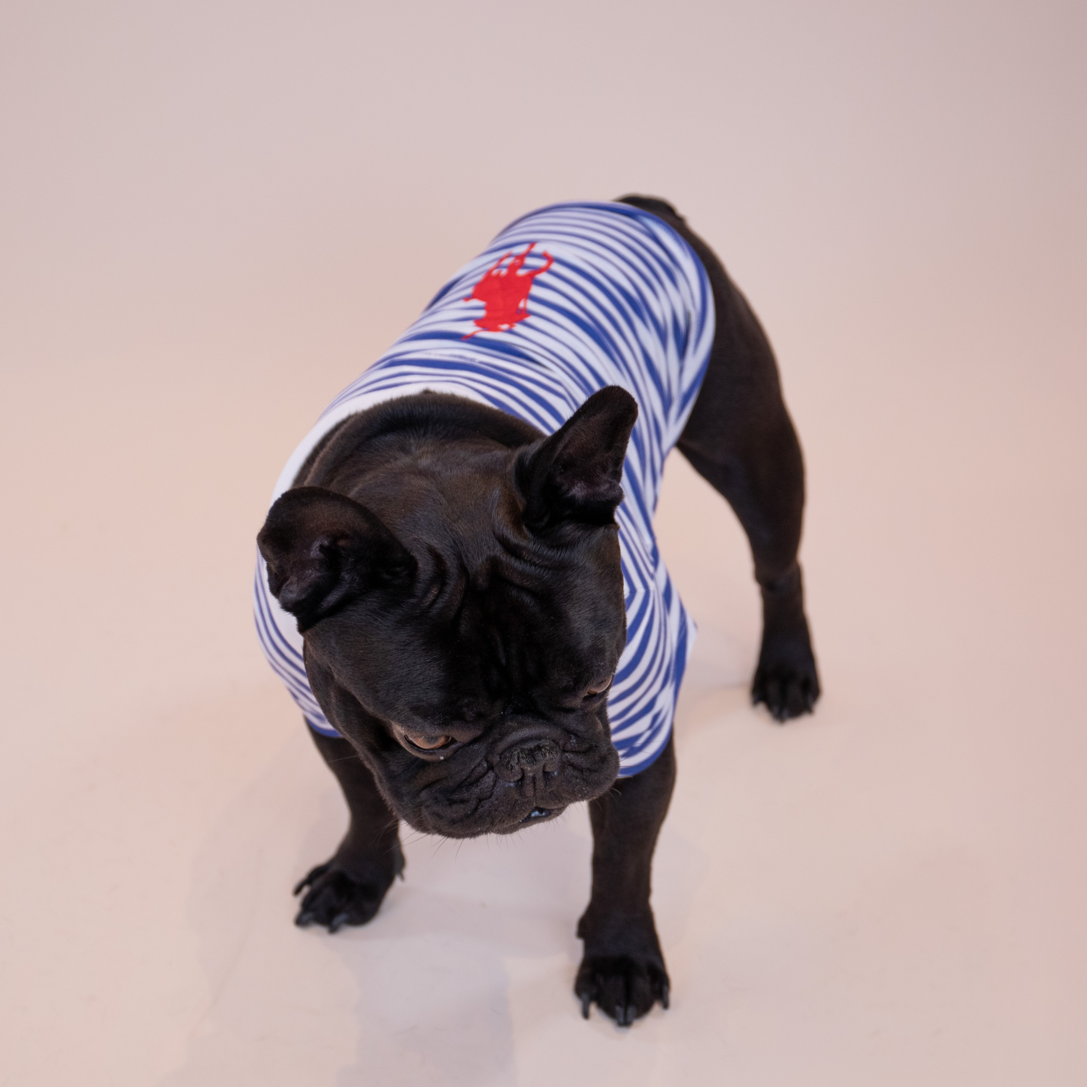 Ralph Lauren Polo Pony T-Shirt