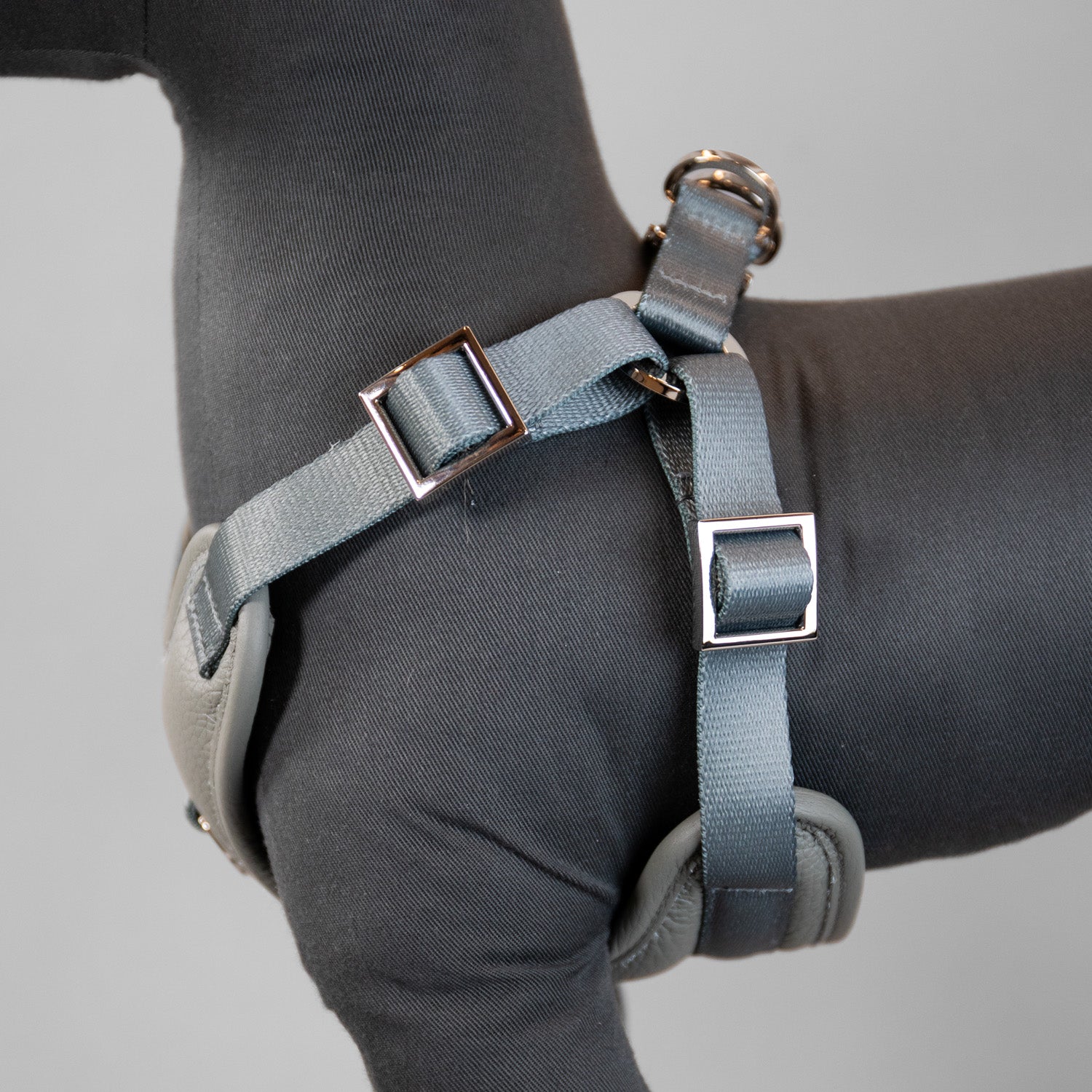 The Original Harness