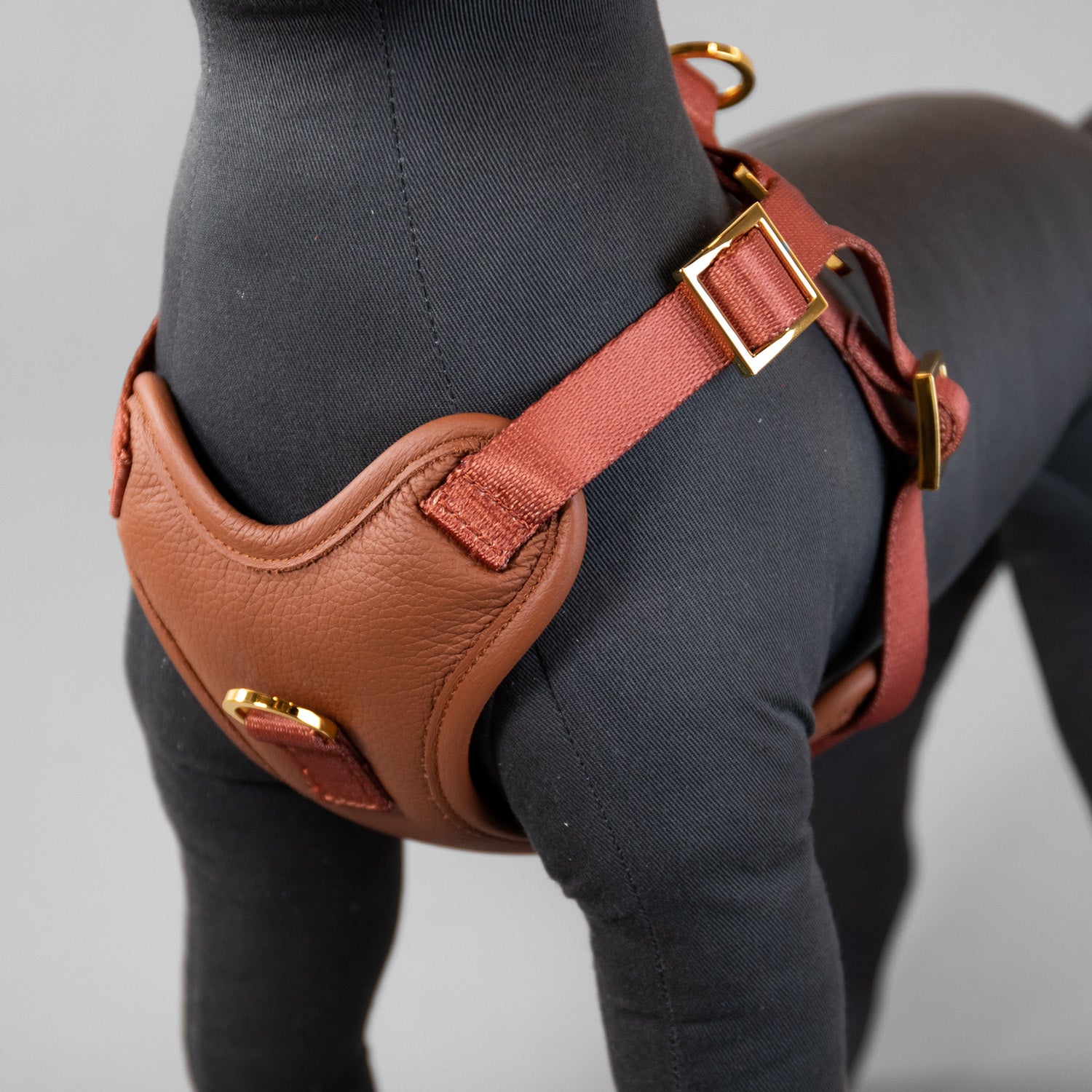 The Original Harness