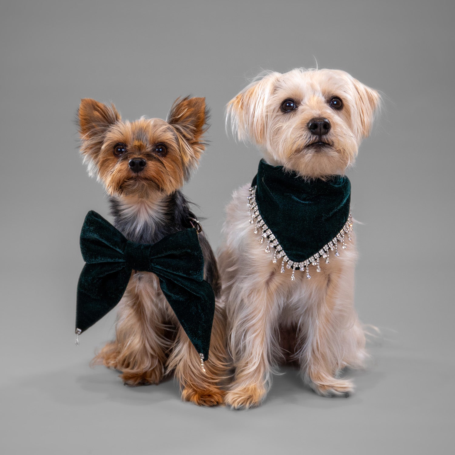 Glistening Velvet Bandanas