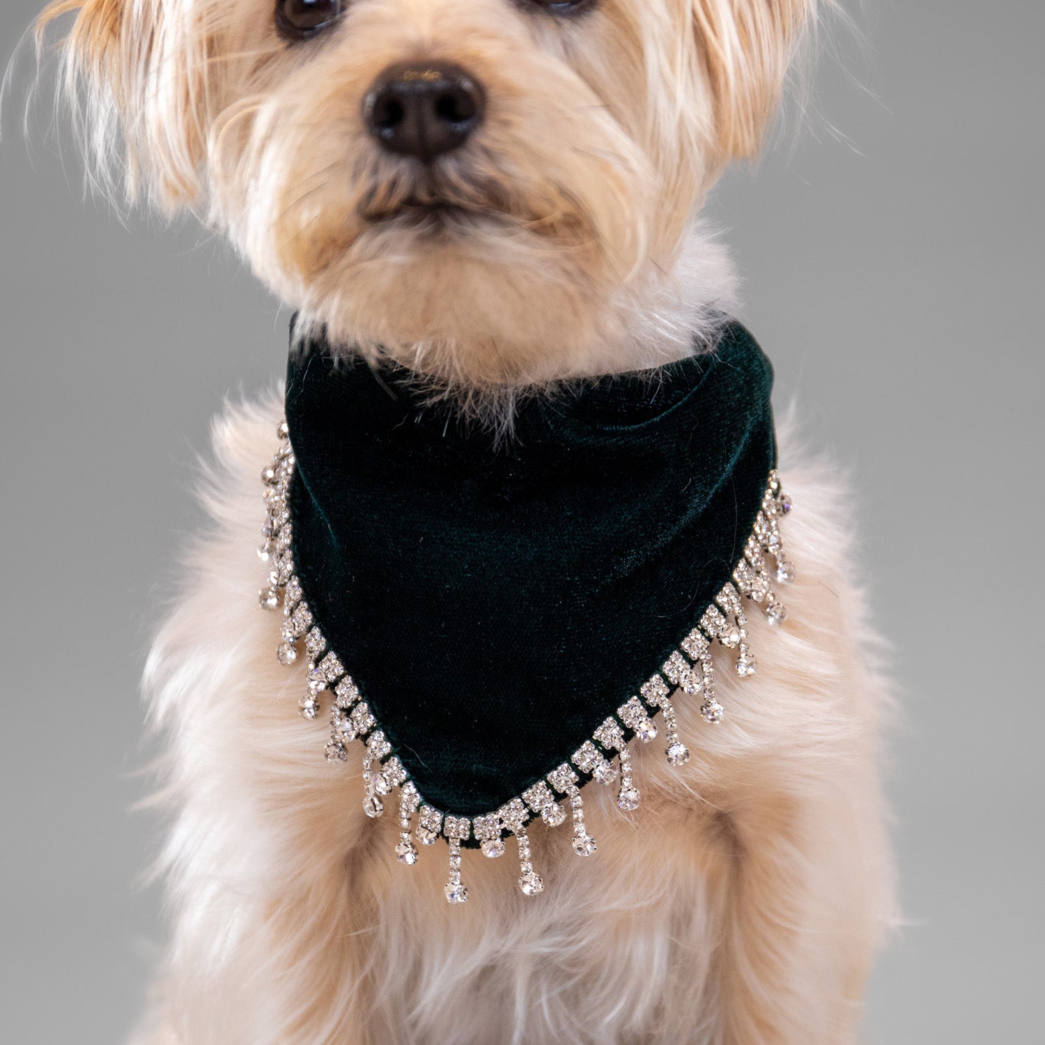 Glistening Velvet Bandanas