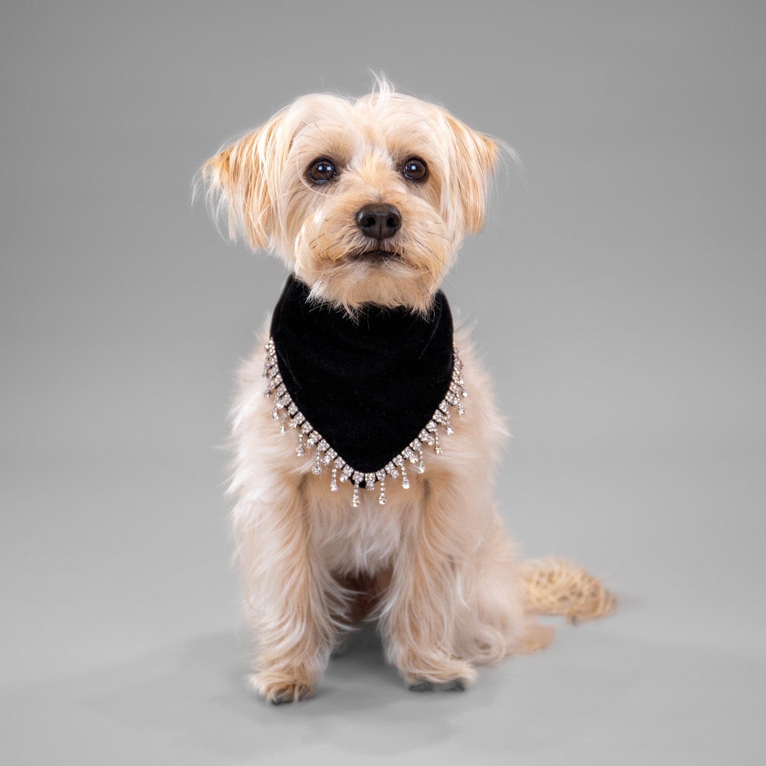 Glistening Velvet Bandanas