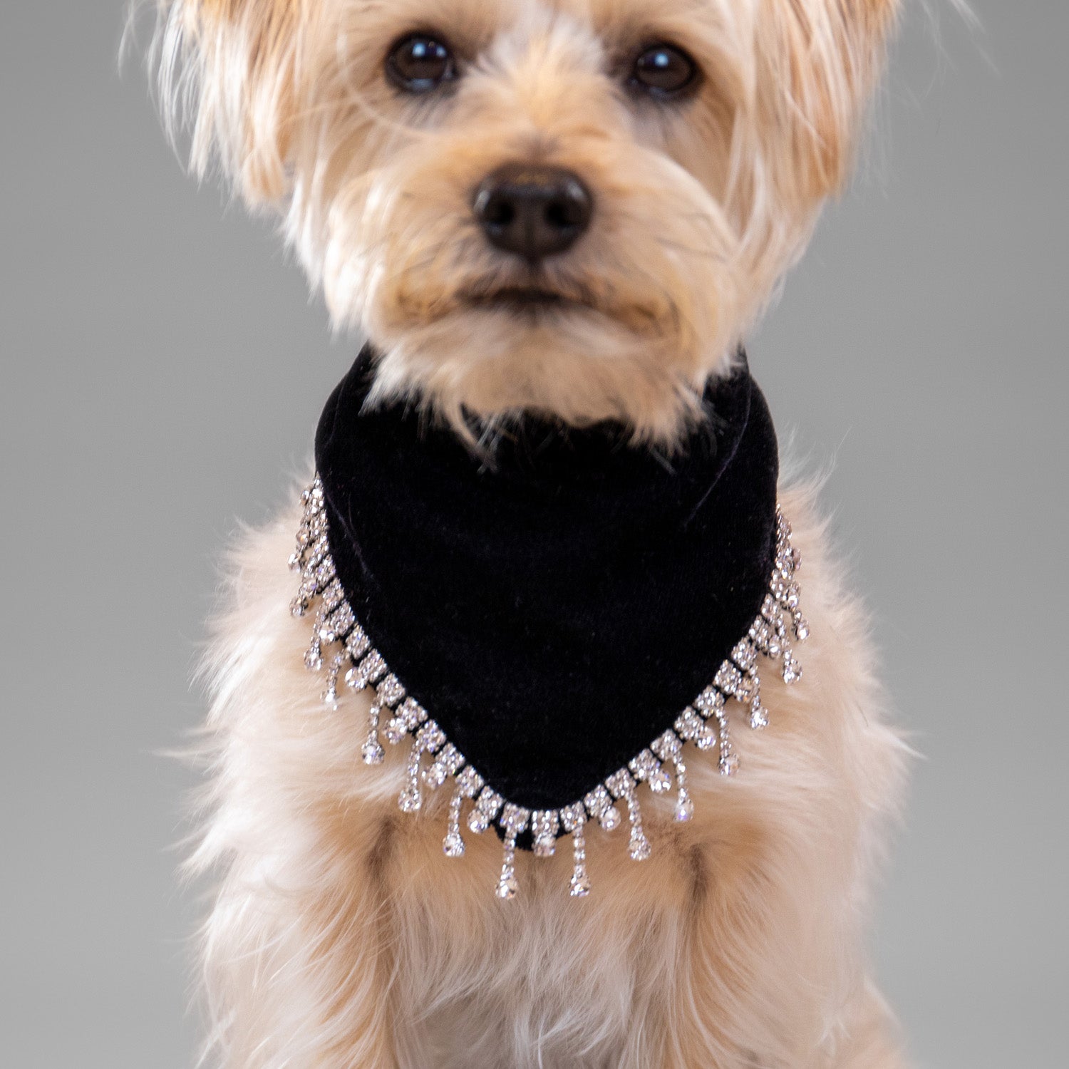 Glistening Velvet Bandanas