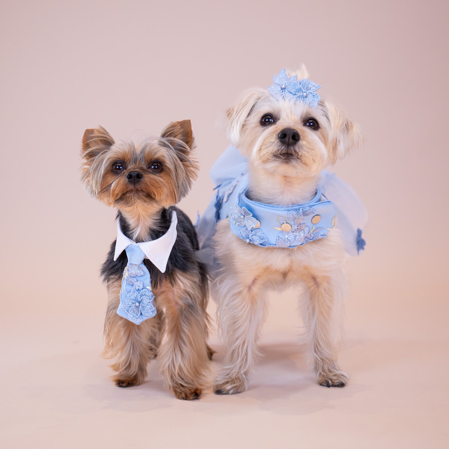 Enchanted Garden Dress