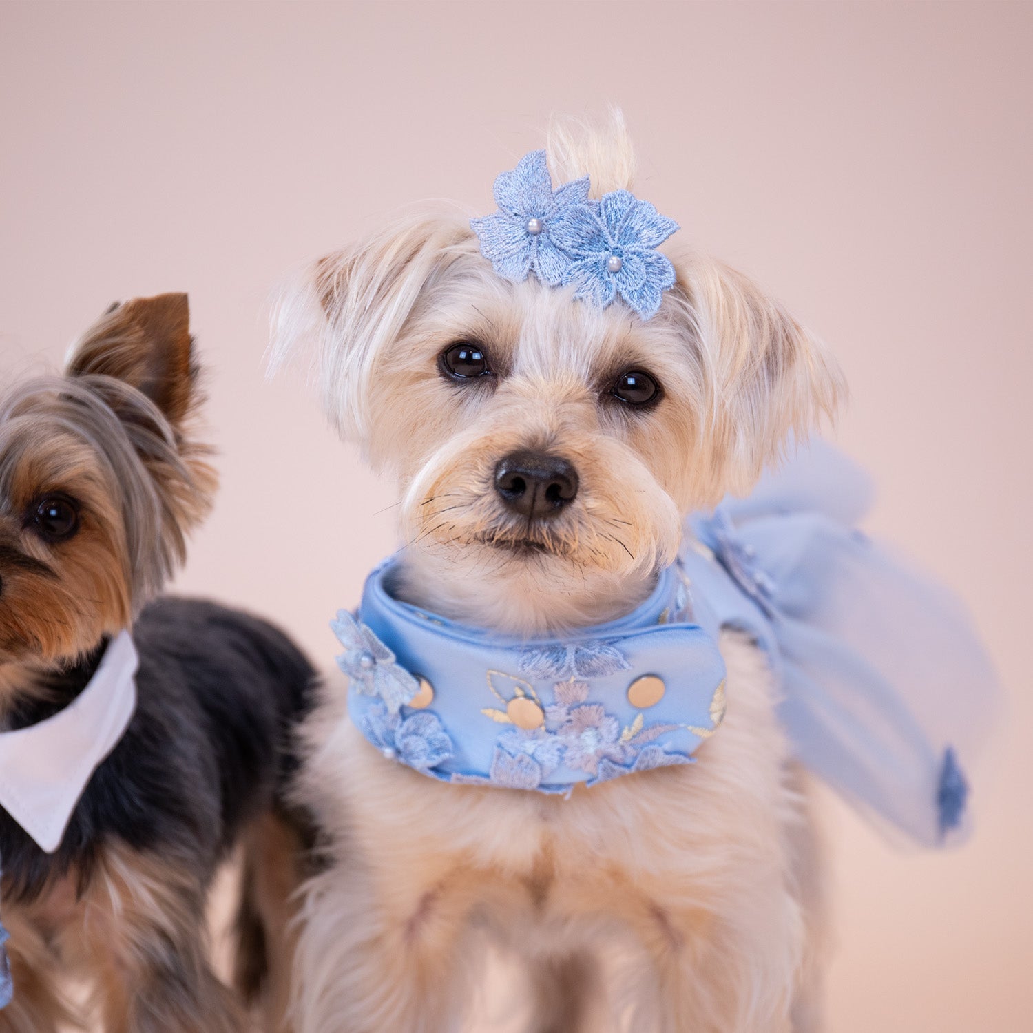 Enchanted Garden Hair Clip