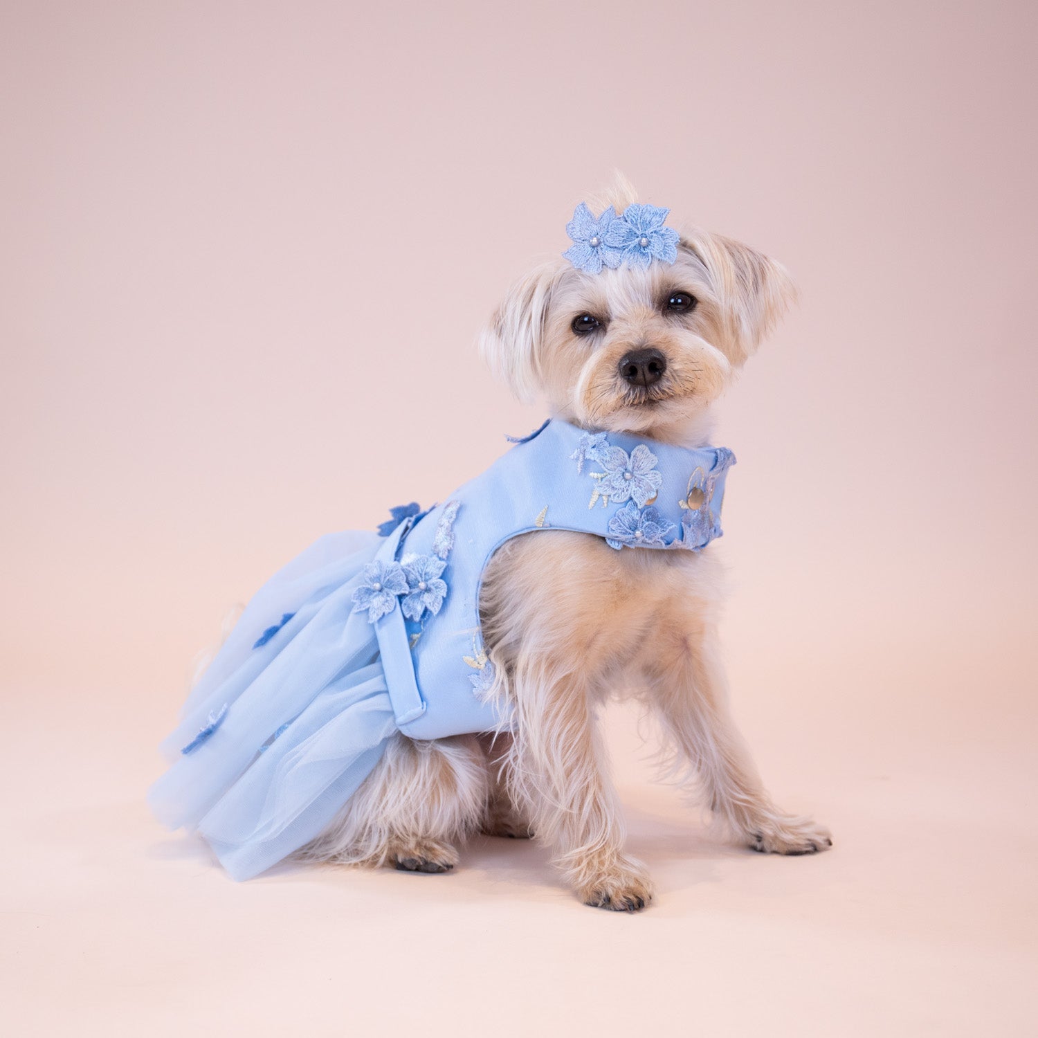 Enchanted Garden Dress