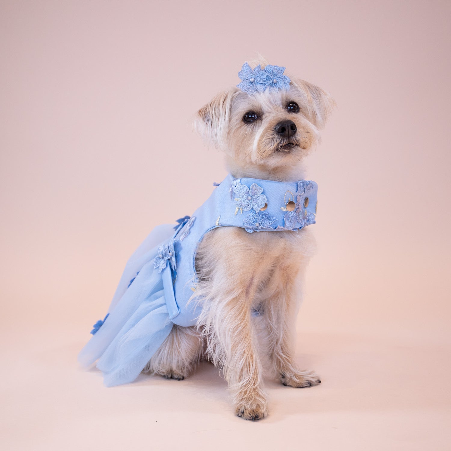 Enchanted Garden Dress