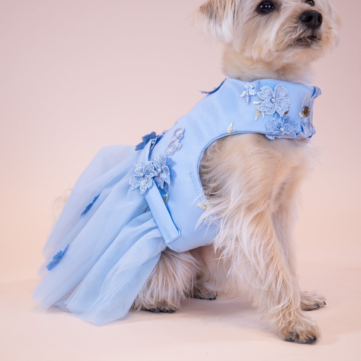 Enchanted Garden Dress