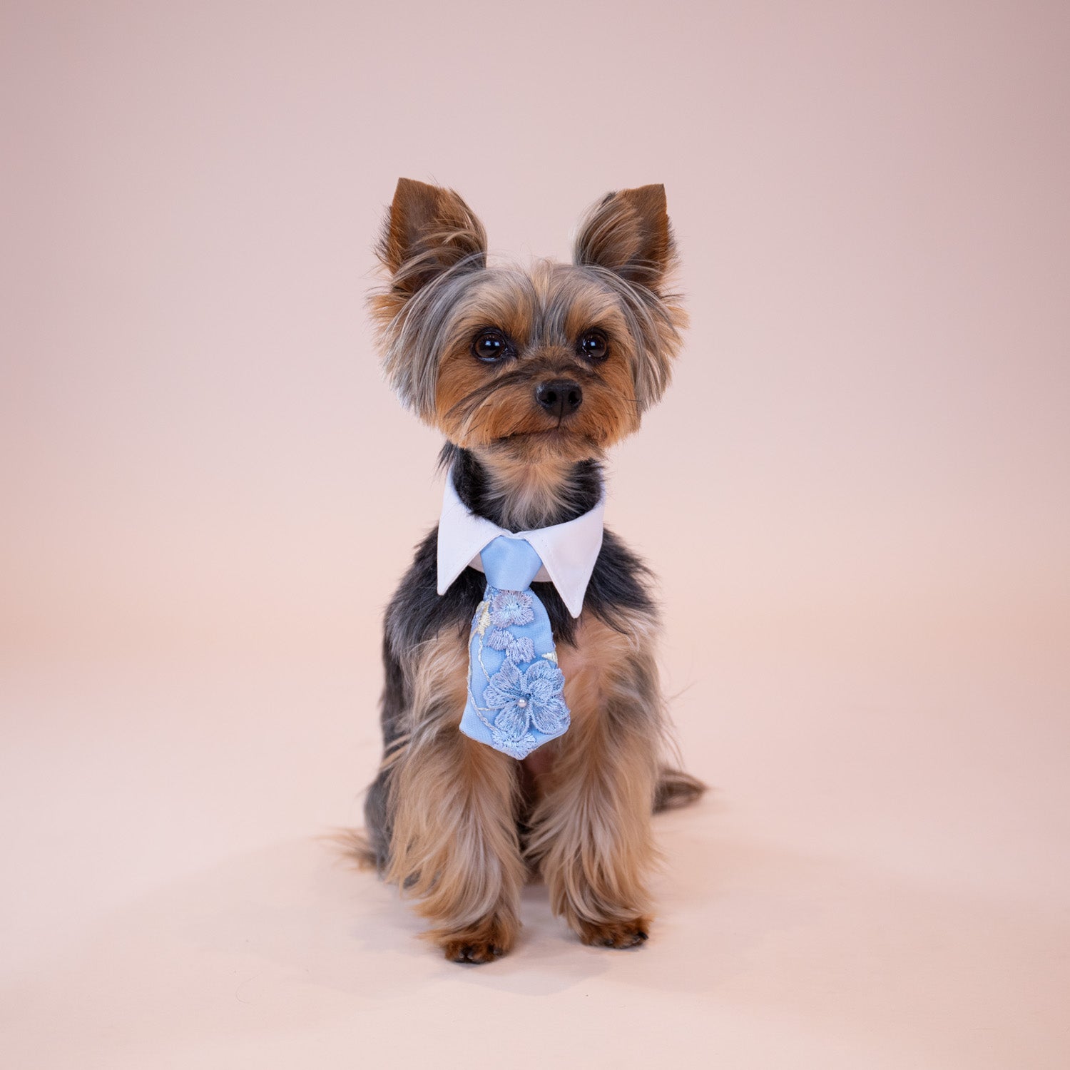 Enchanted Garden Tie