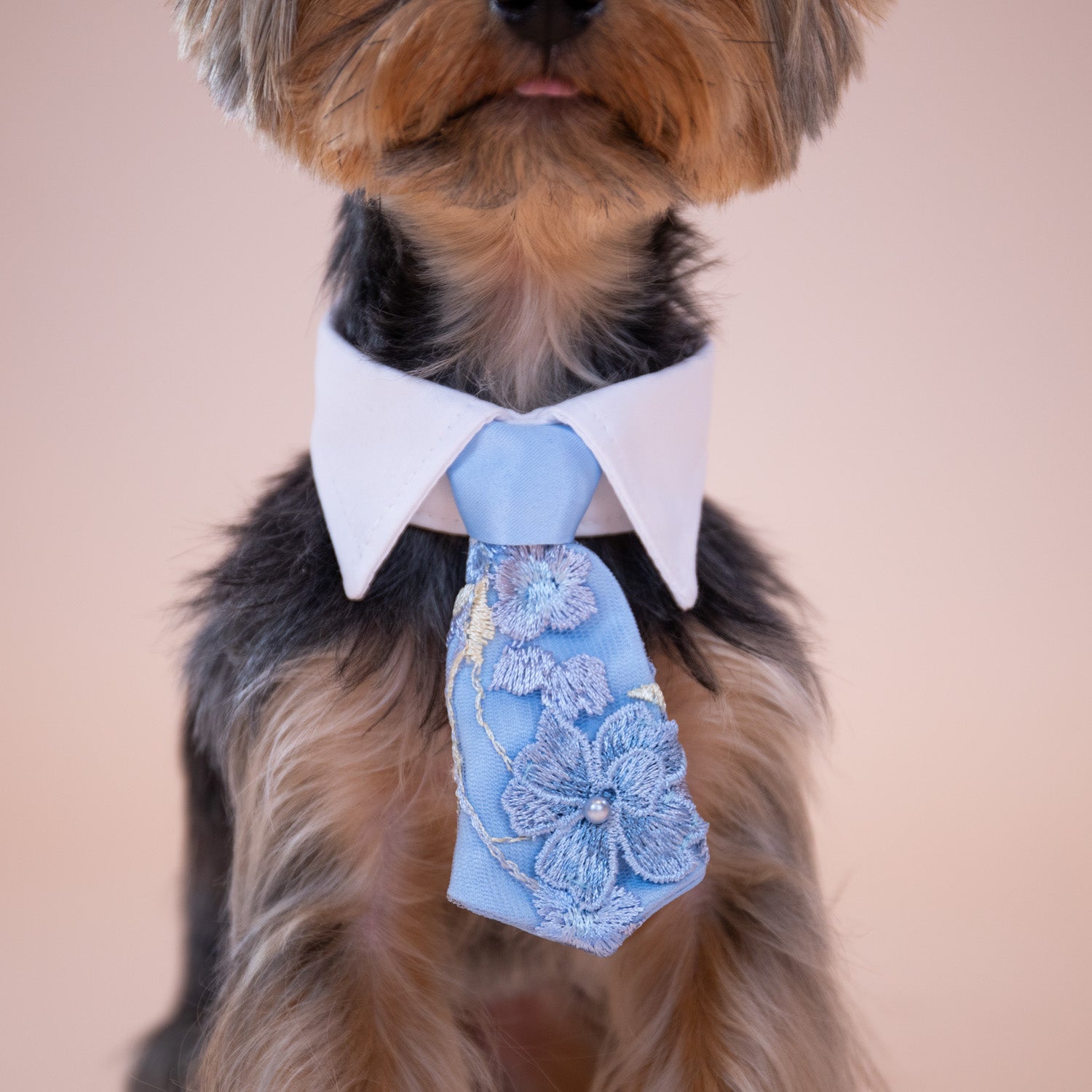 Enchanted Garden Tie