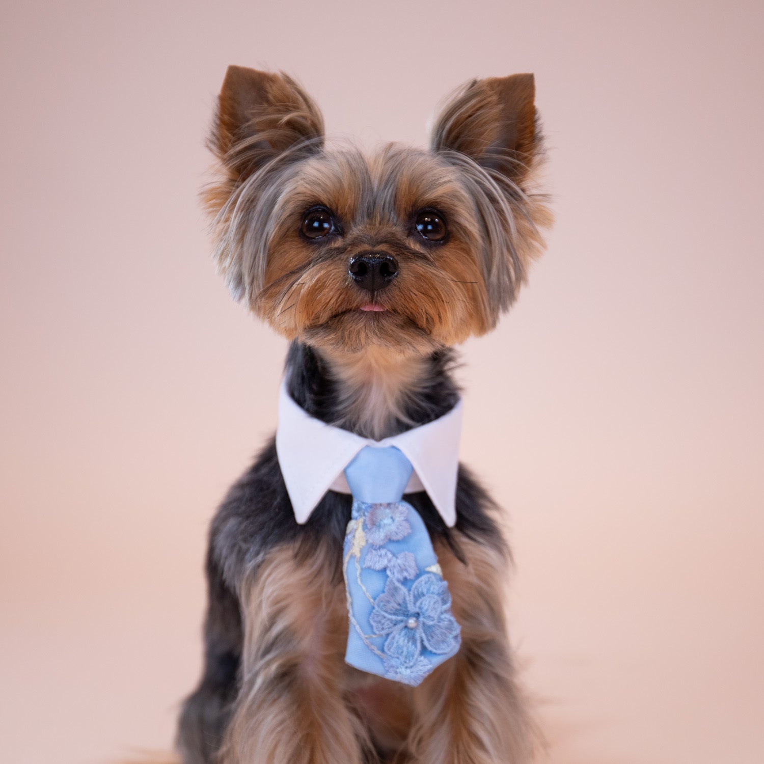 Enchanted Garden Tie