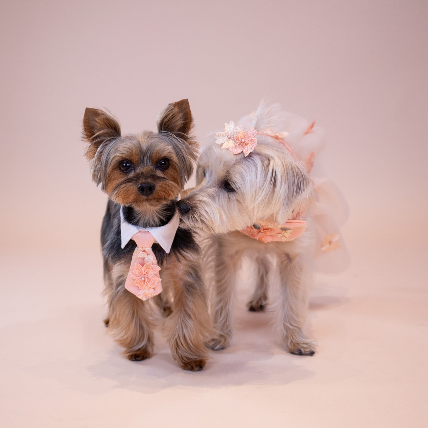 Enchanted Garden Hair Clip