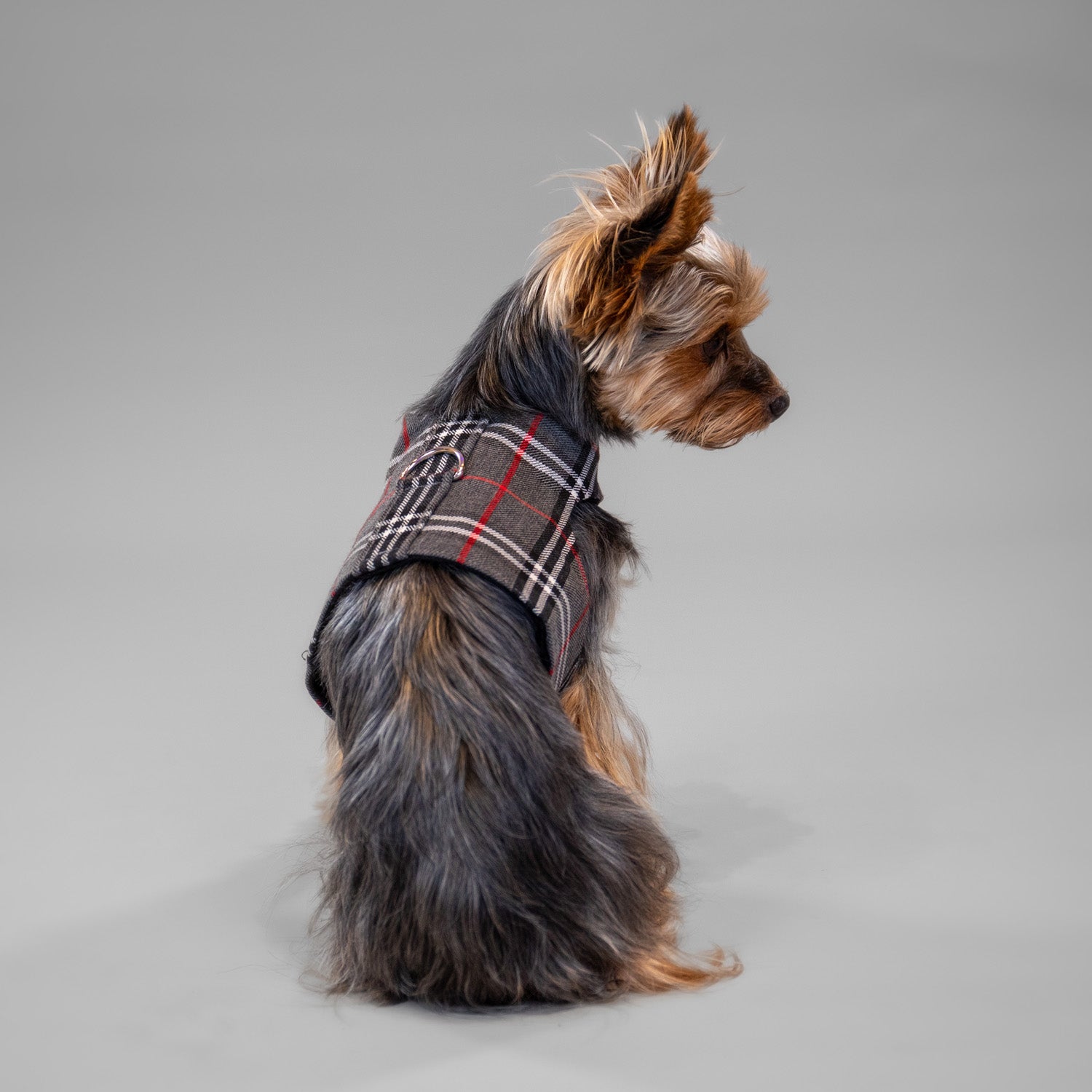 The Rockefeller Harness