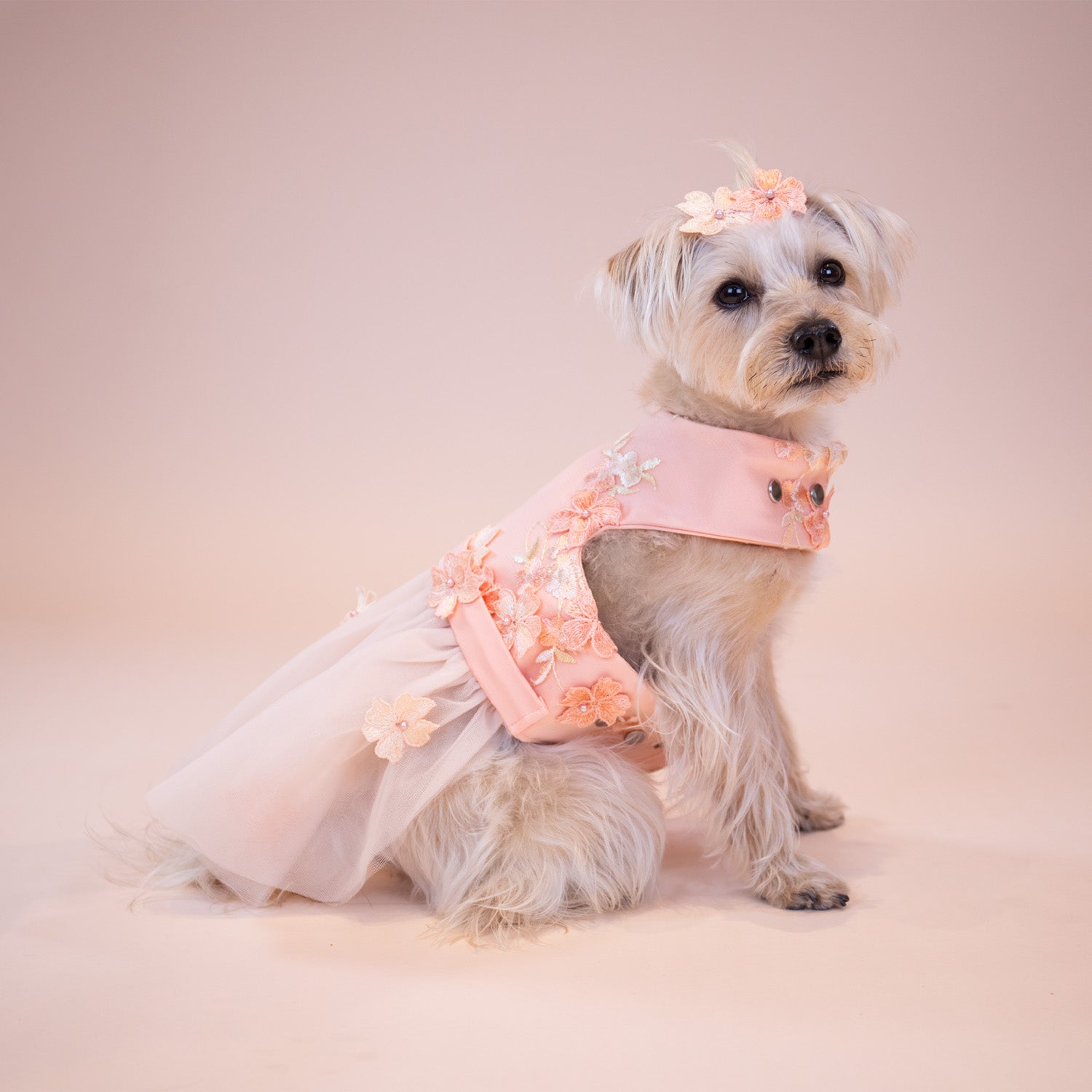 Enchanted Garden Dress