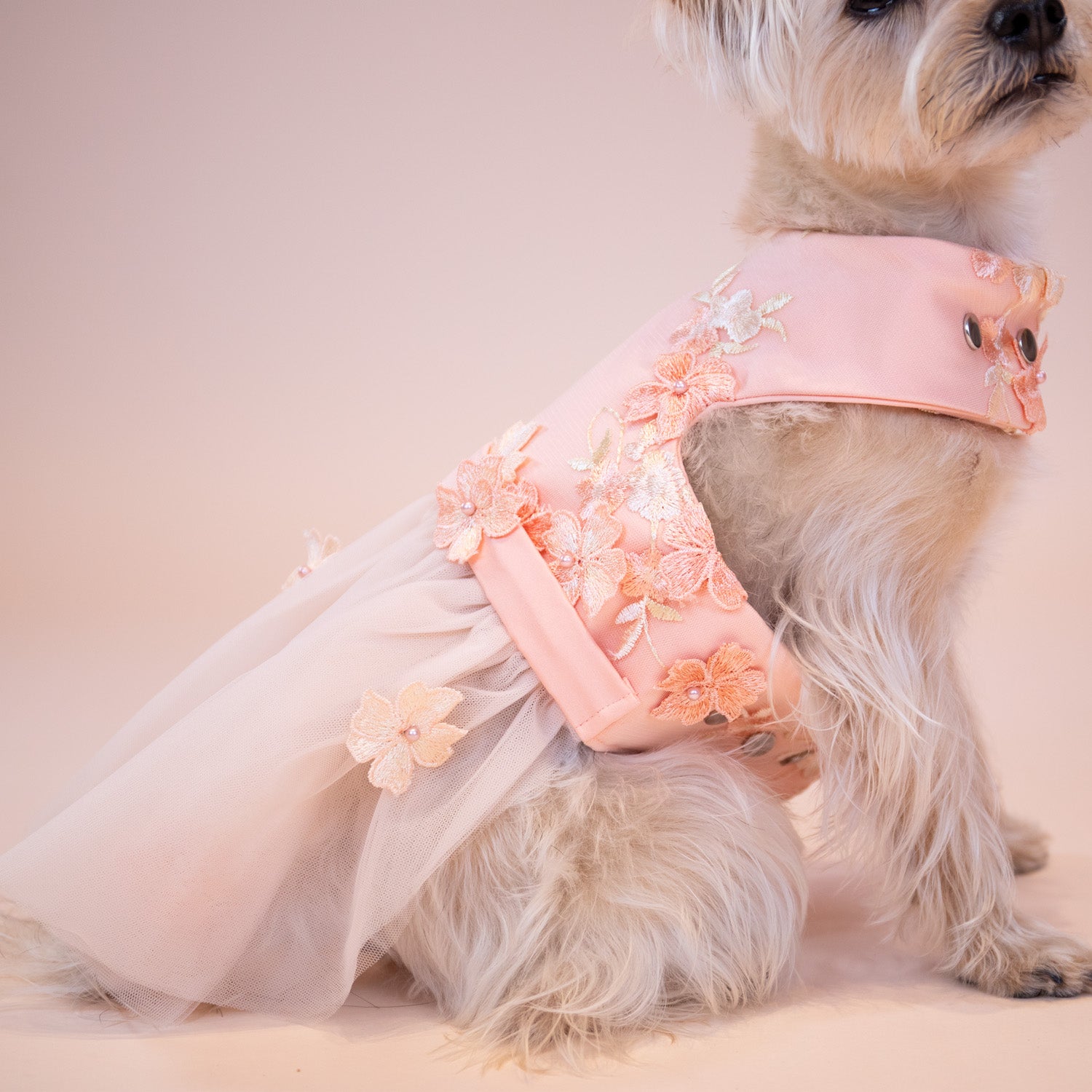 Enchanted Garden Dress