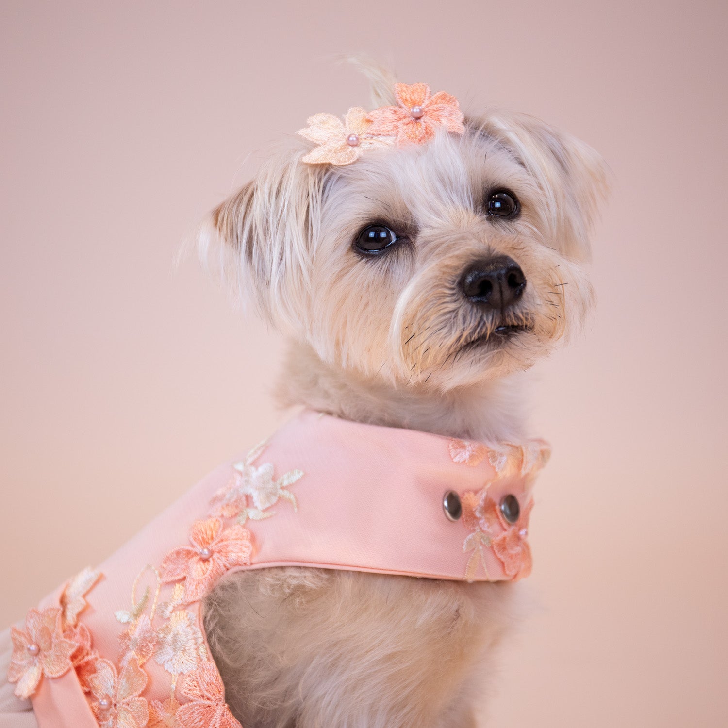 Enchanted Garden Hair Clip