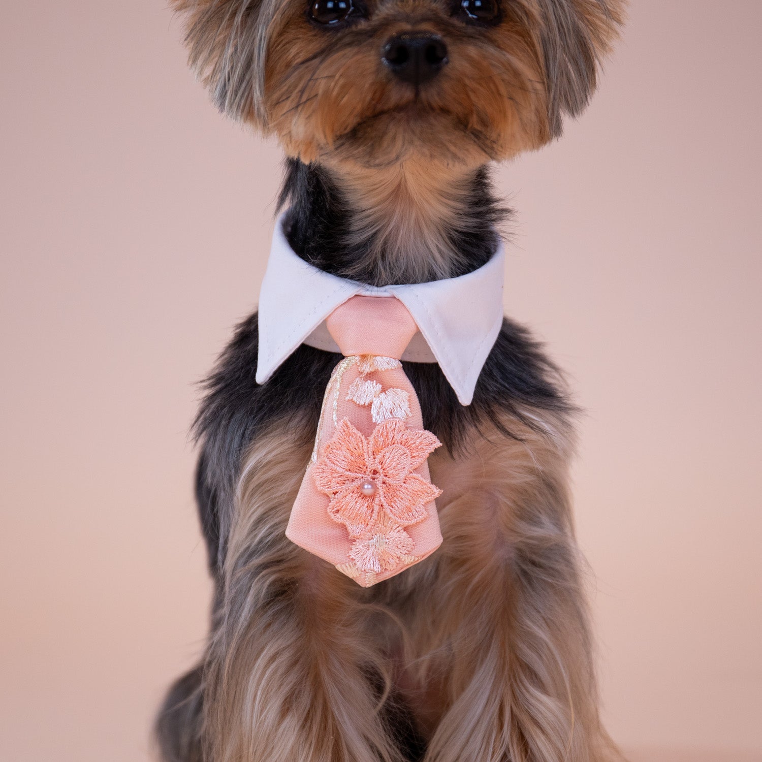 Enchanted Garden Tie
