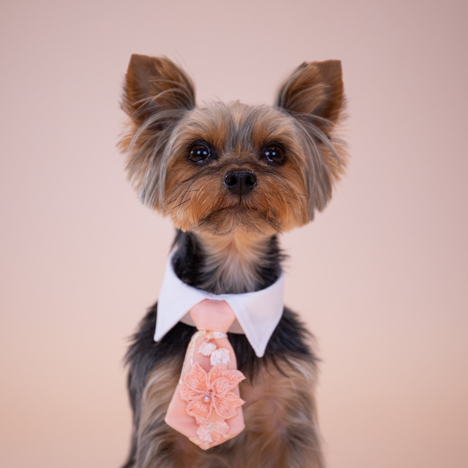 Enchanted Garden Tie