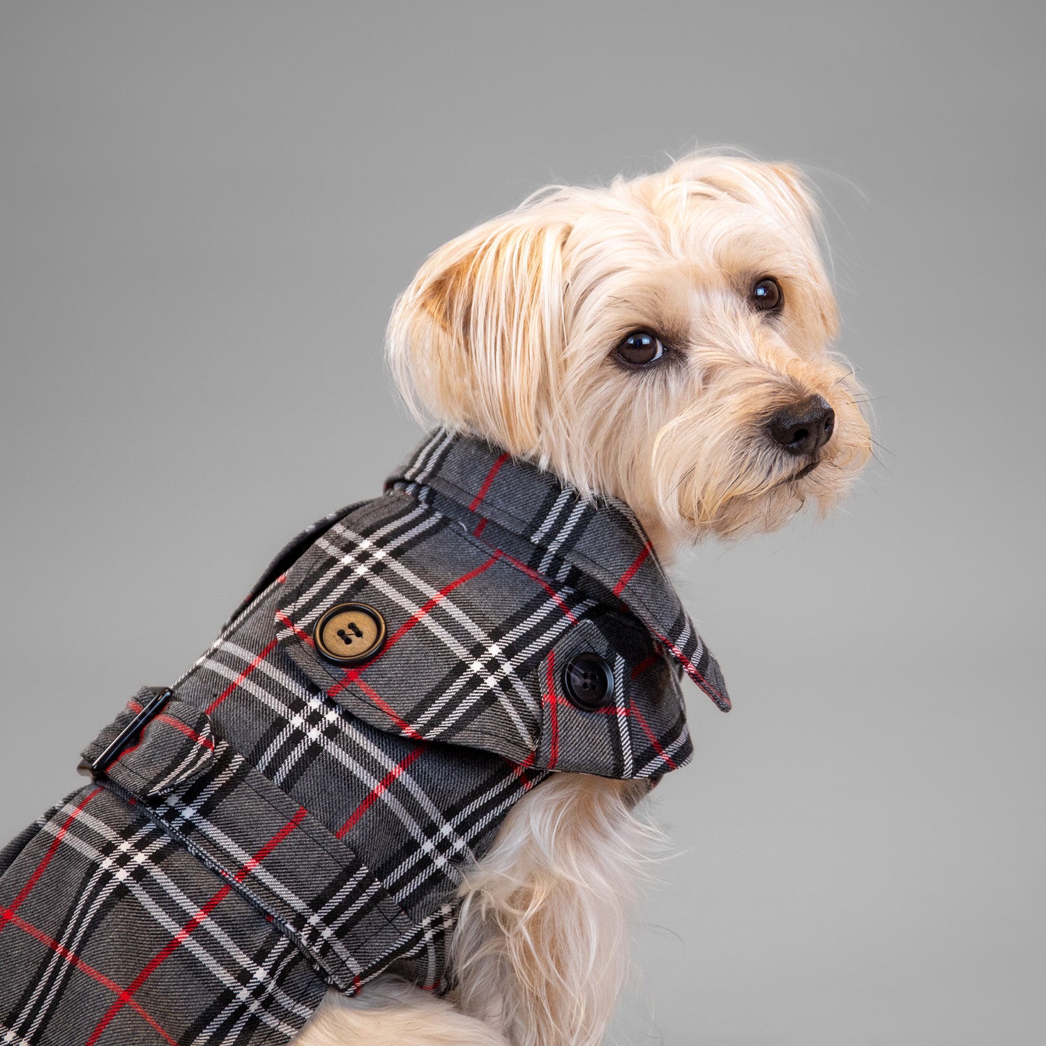 The Rockefeller Overcoat