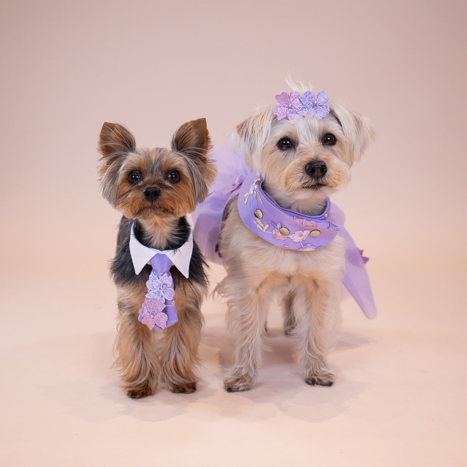 Enchanted Garden Dress