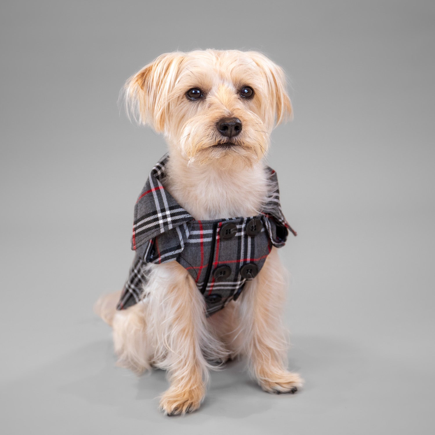 The Rockefeller Overcoat