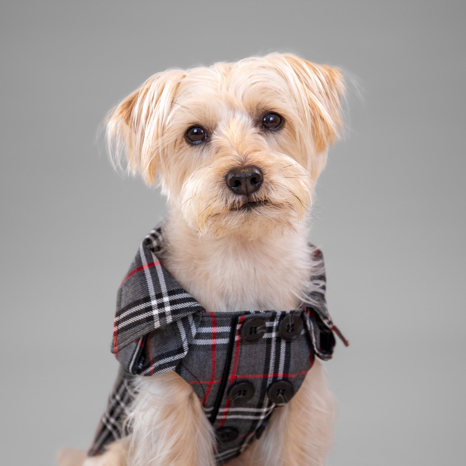 The Rockefeller Overcoat