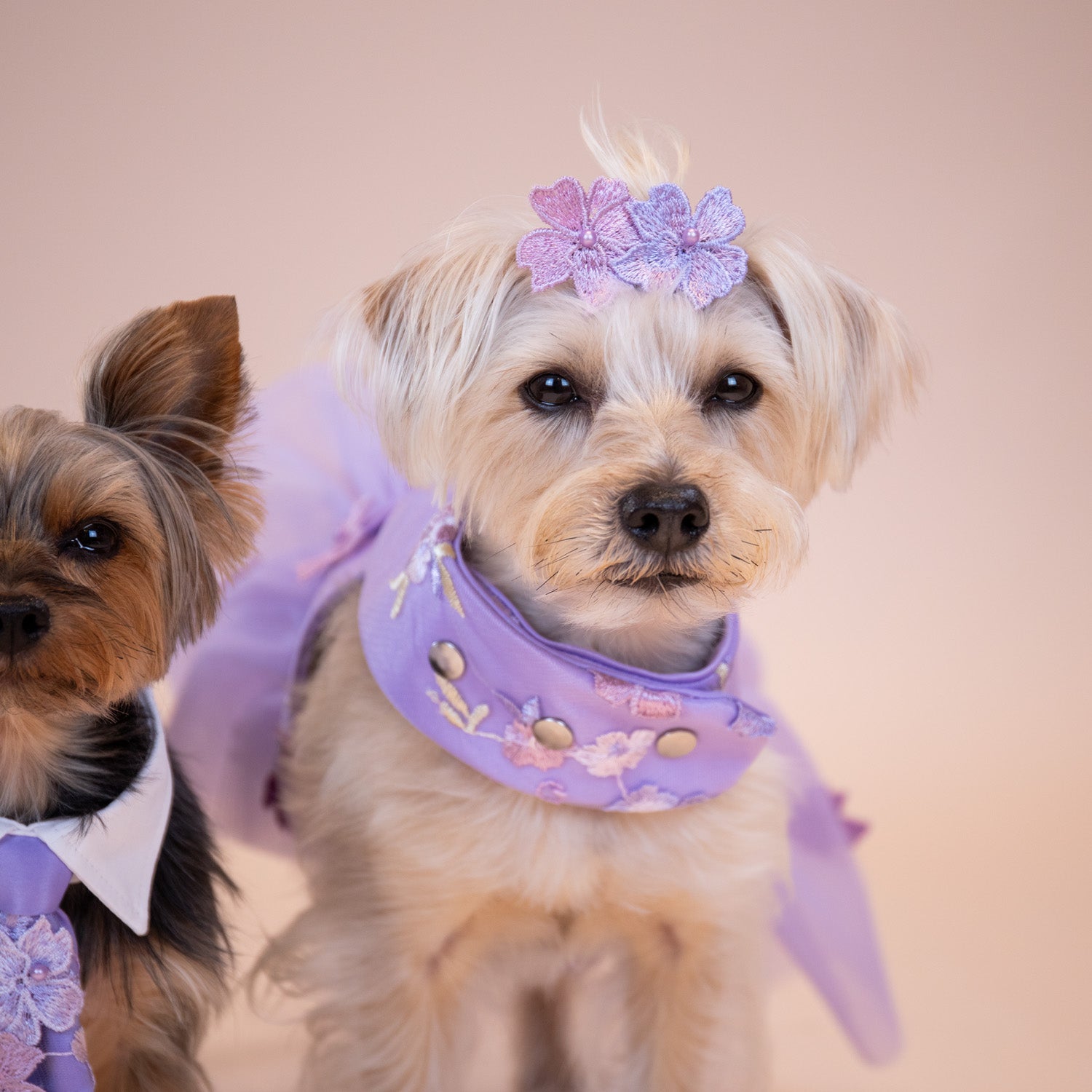 Enchanted Garden Hair Clip
