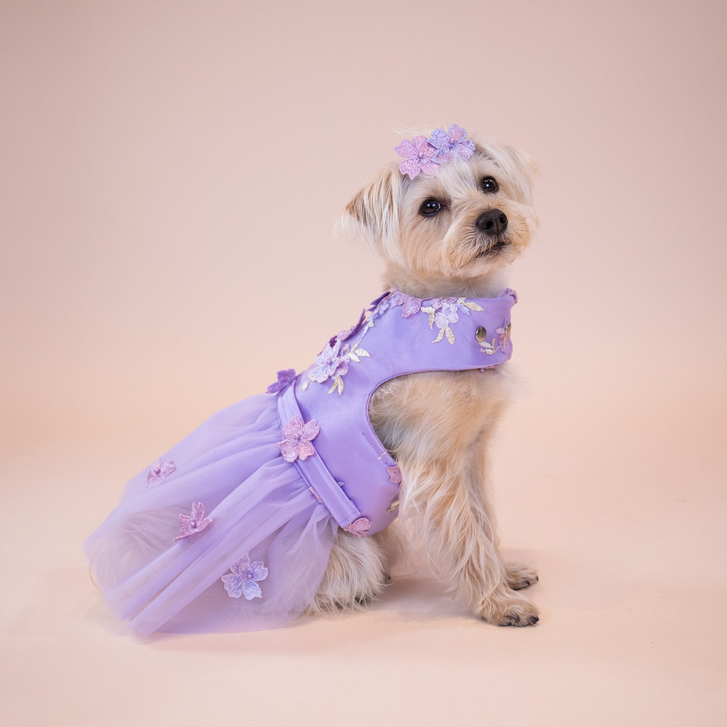 Enchanted Garden Dress