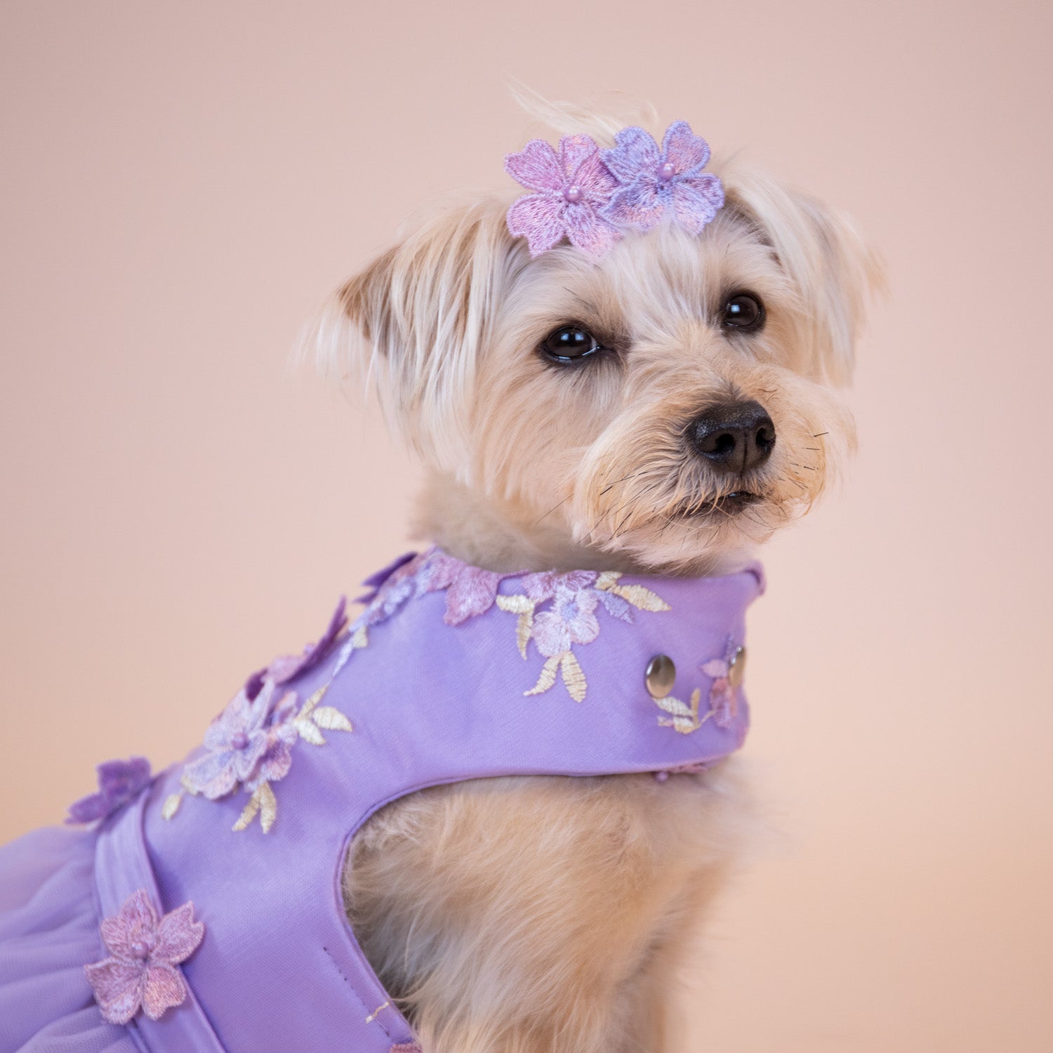 Enchanted Garden Hair Clip