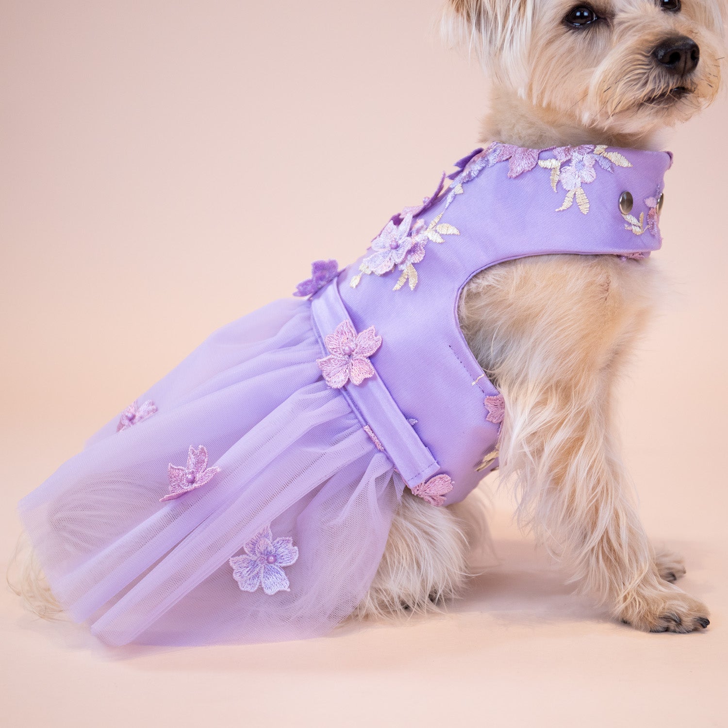 Enchanted Garden Dress