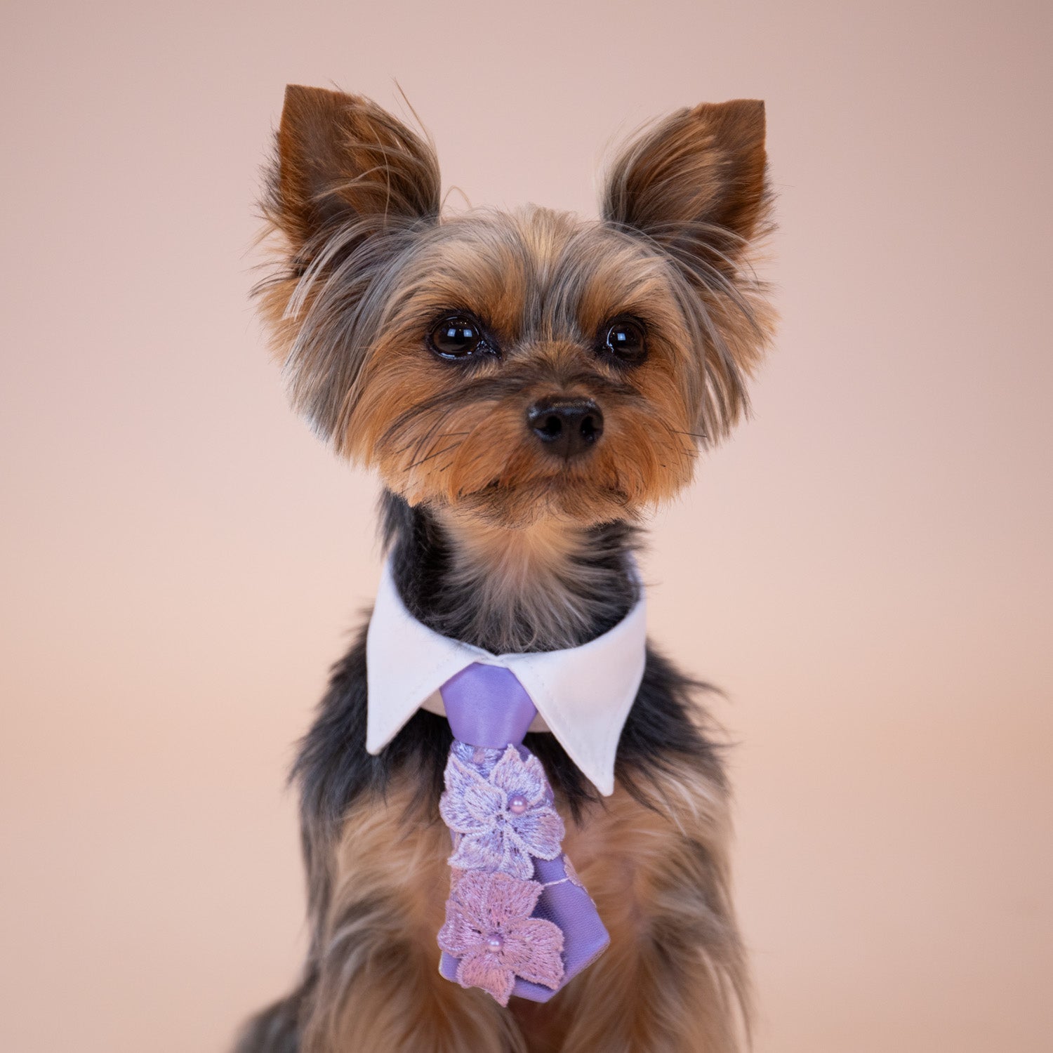Enchanted Garden Tie