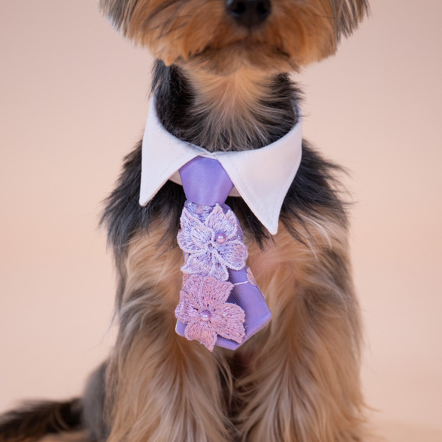 Enchanted Garden Tie