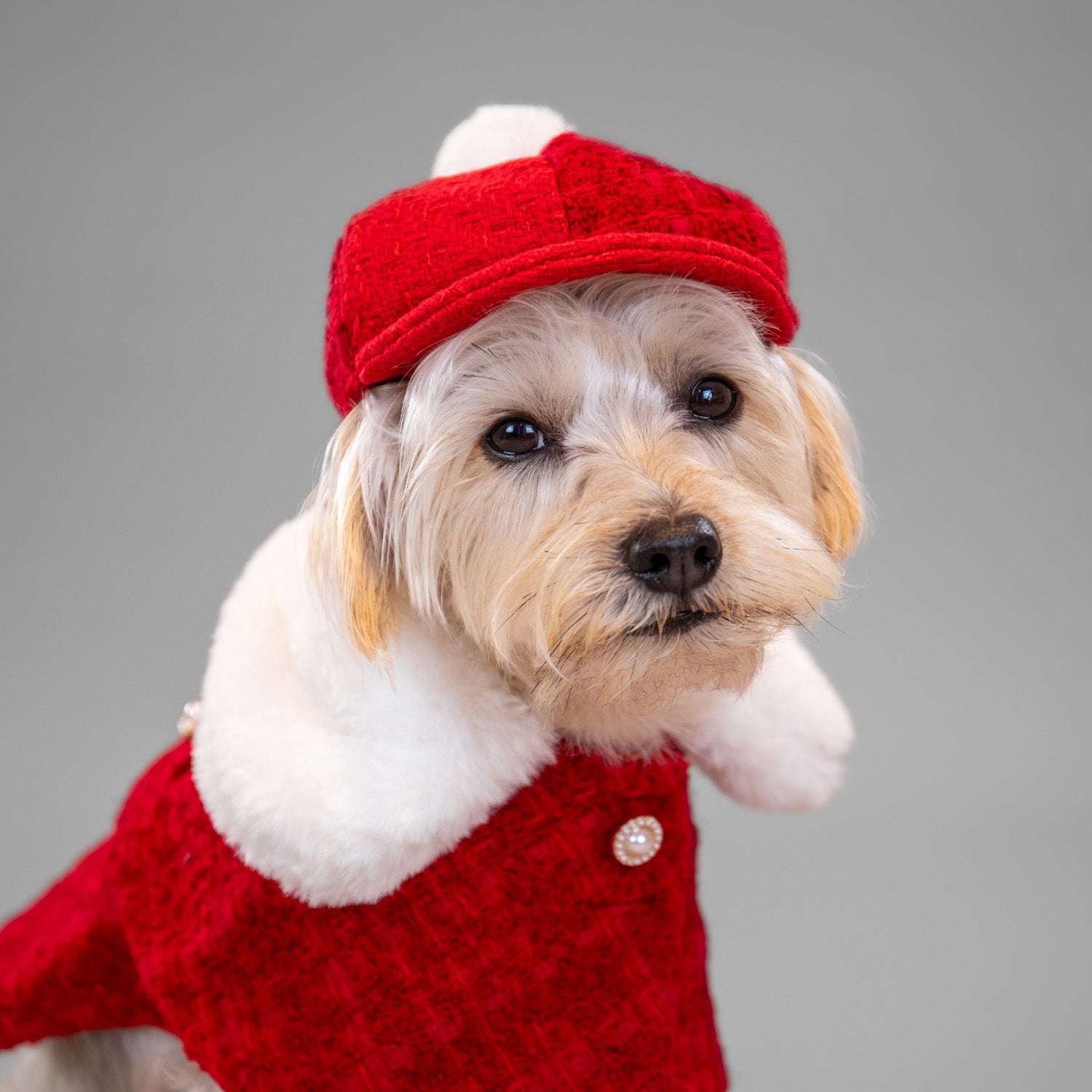 The Antoinette Overcoat Holiday Crimson