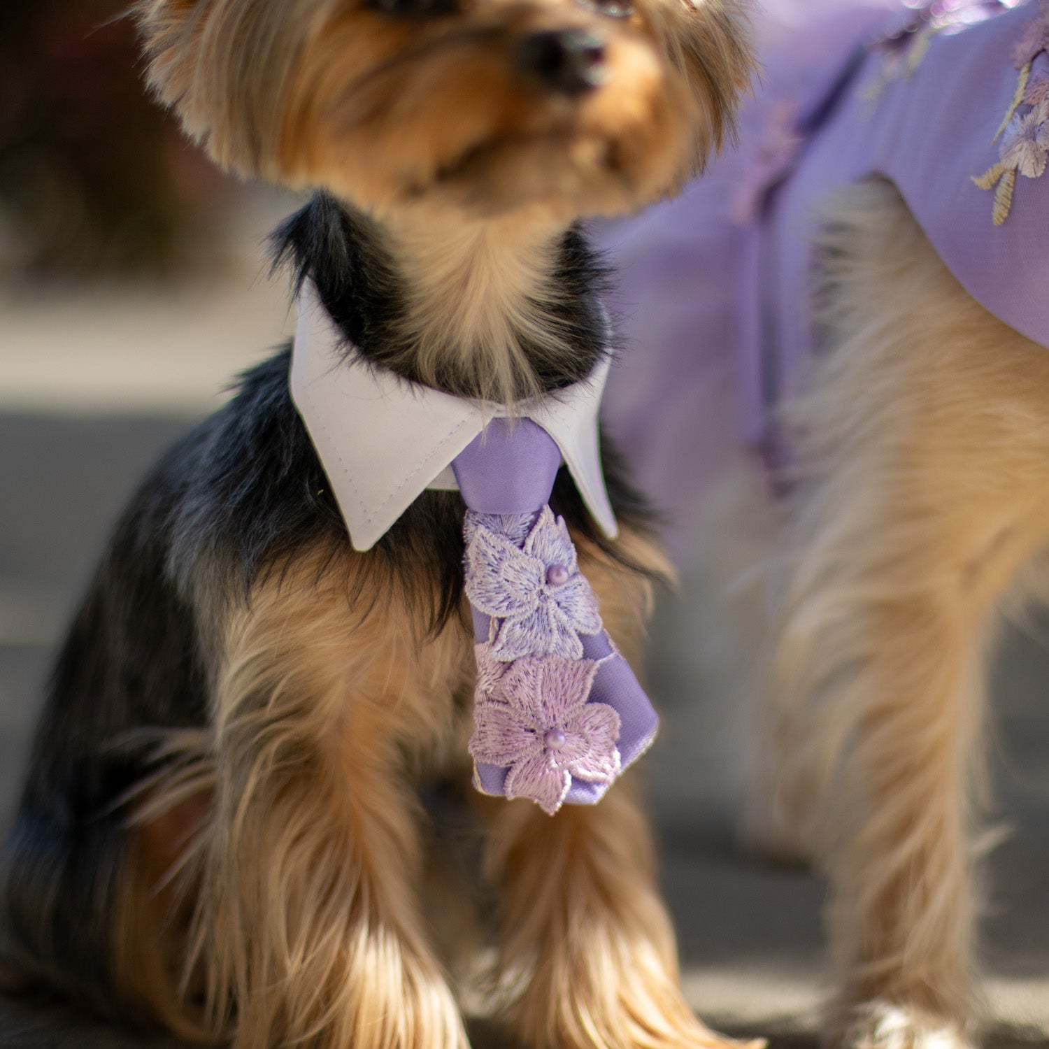 Enchanted Garden Tie