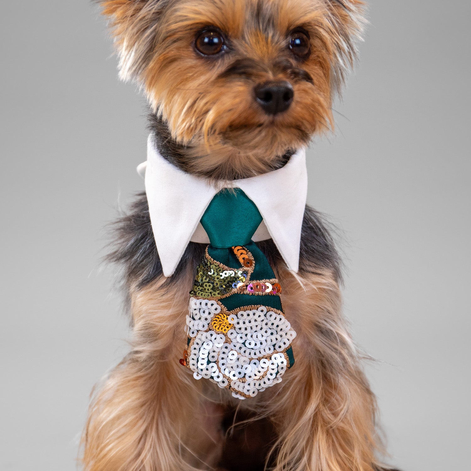 Pixie Poinsettia Tie