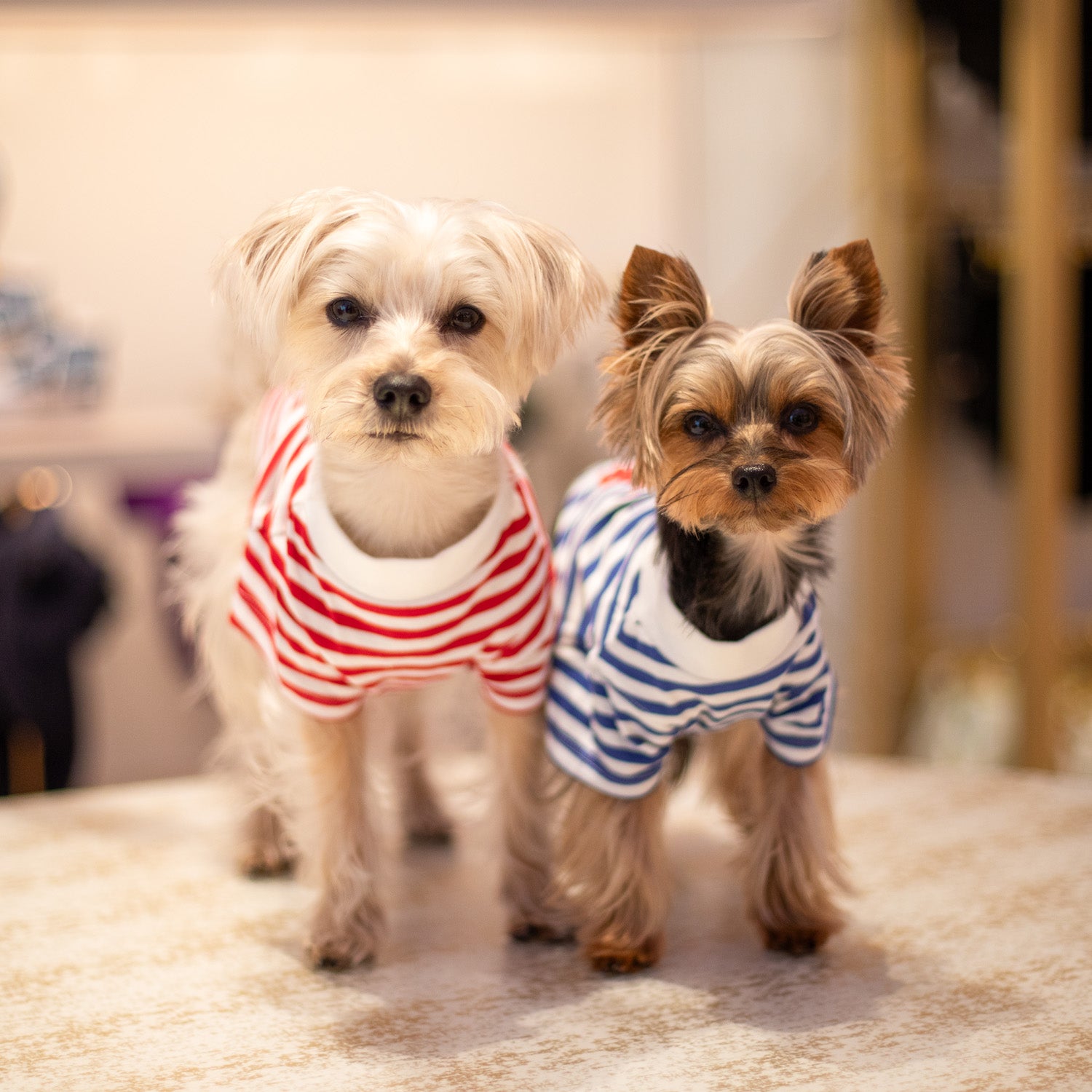 Ralph Lauren Polo Pony T-Shirt