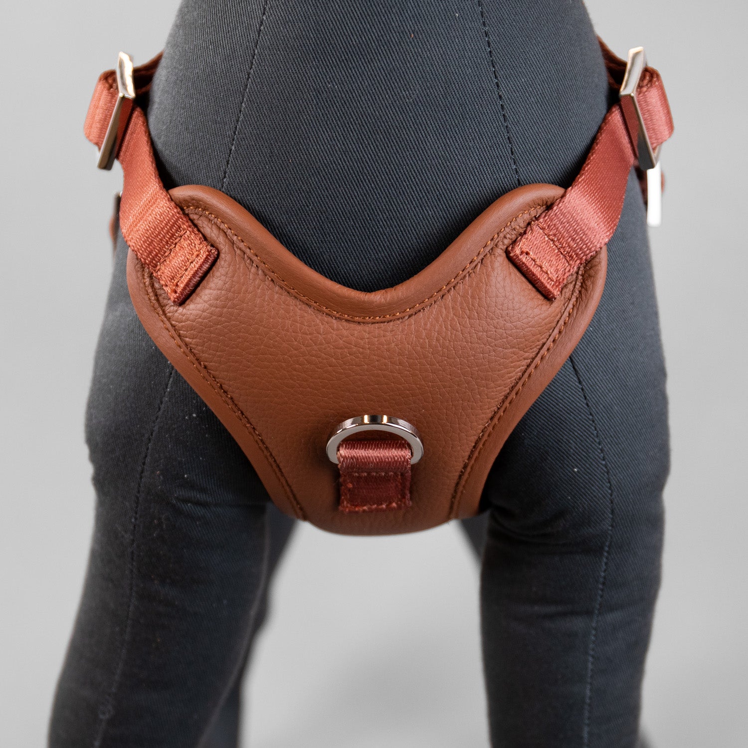 The Original Harness