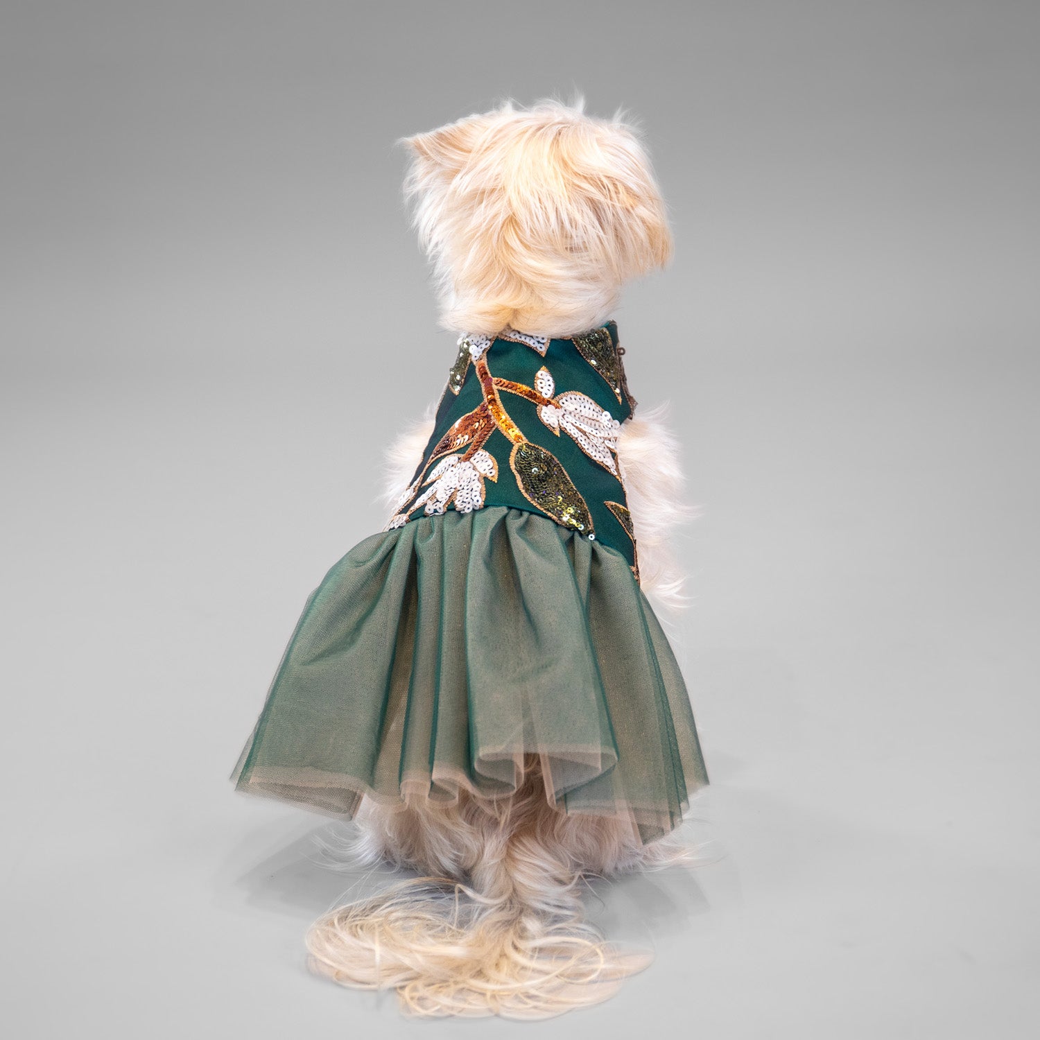 Pixie Poinsettia Dress