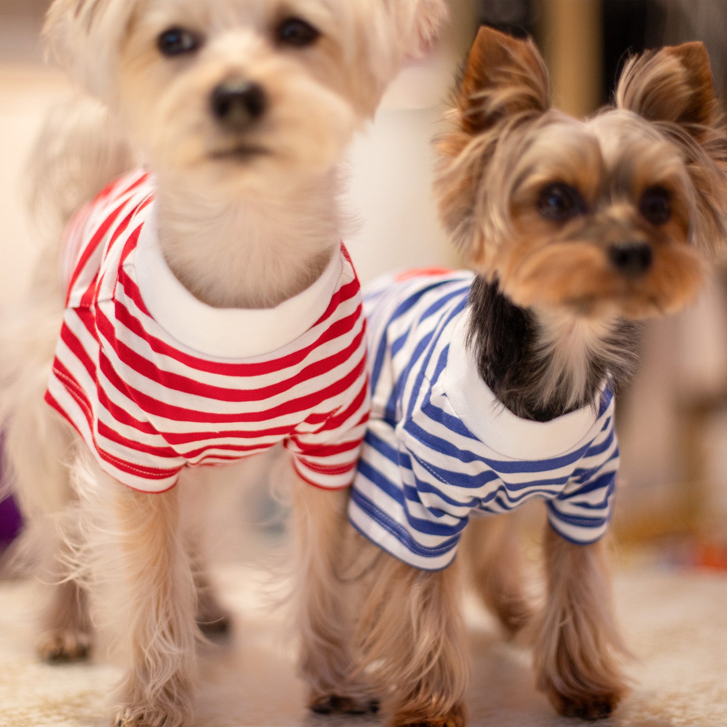 Ralph Lauren Polo Pony T-Shirt