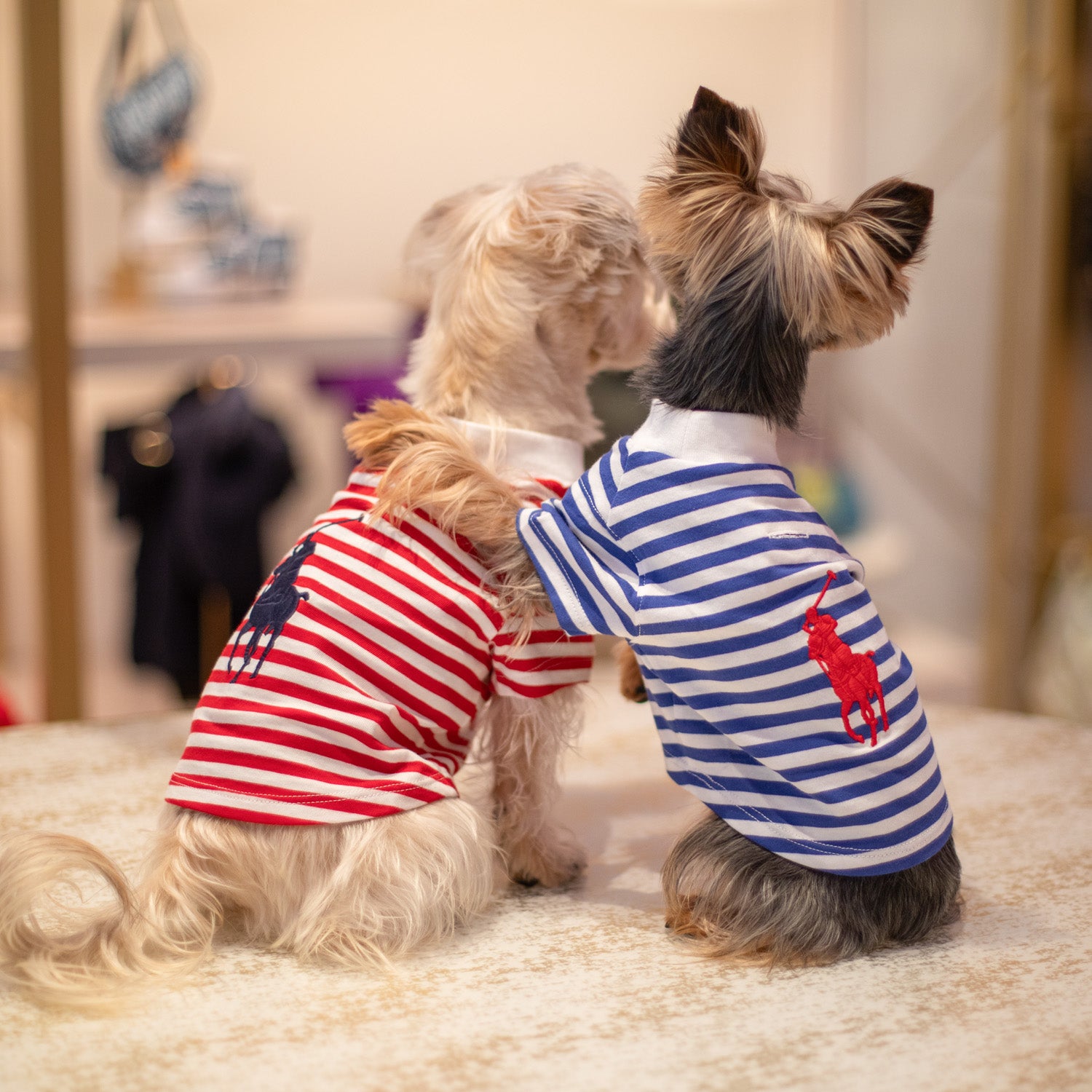 Ralph Lauren Polo Pony T-Shirt