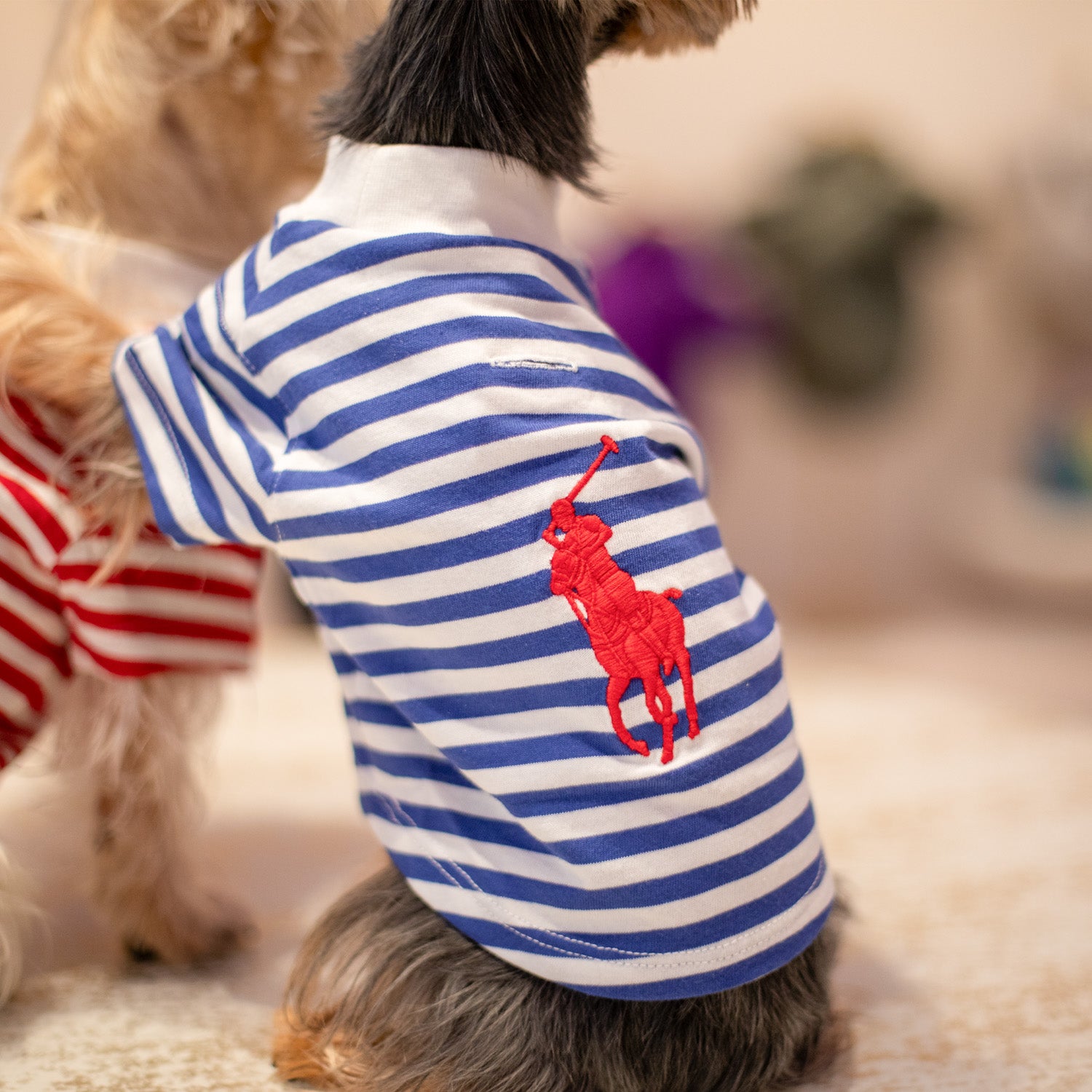 Ralph Lauren Polo Pony T-Shirt