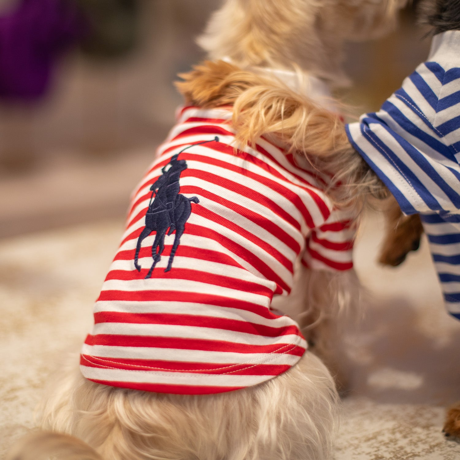 Ralph Lauren Polo Pony T-Shirt