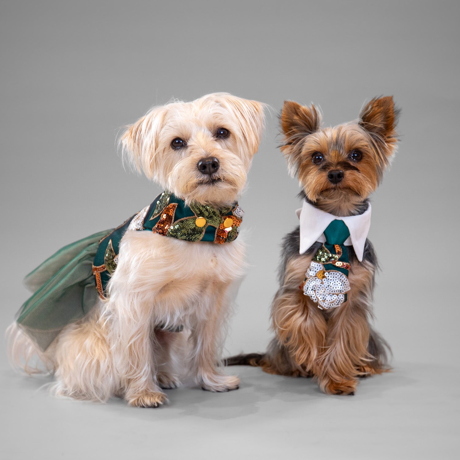 Pixie Poinsettia Dress