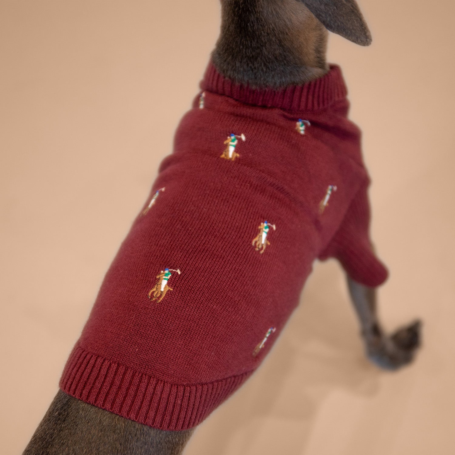 Ralph Lauren Logo Sweater