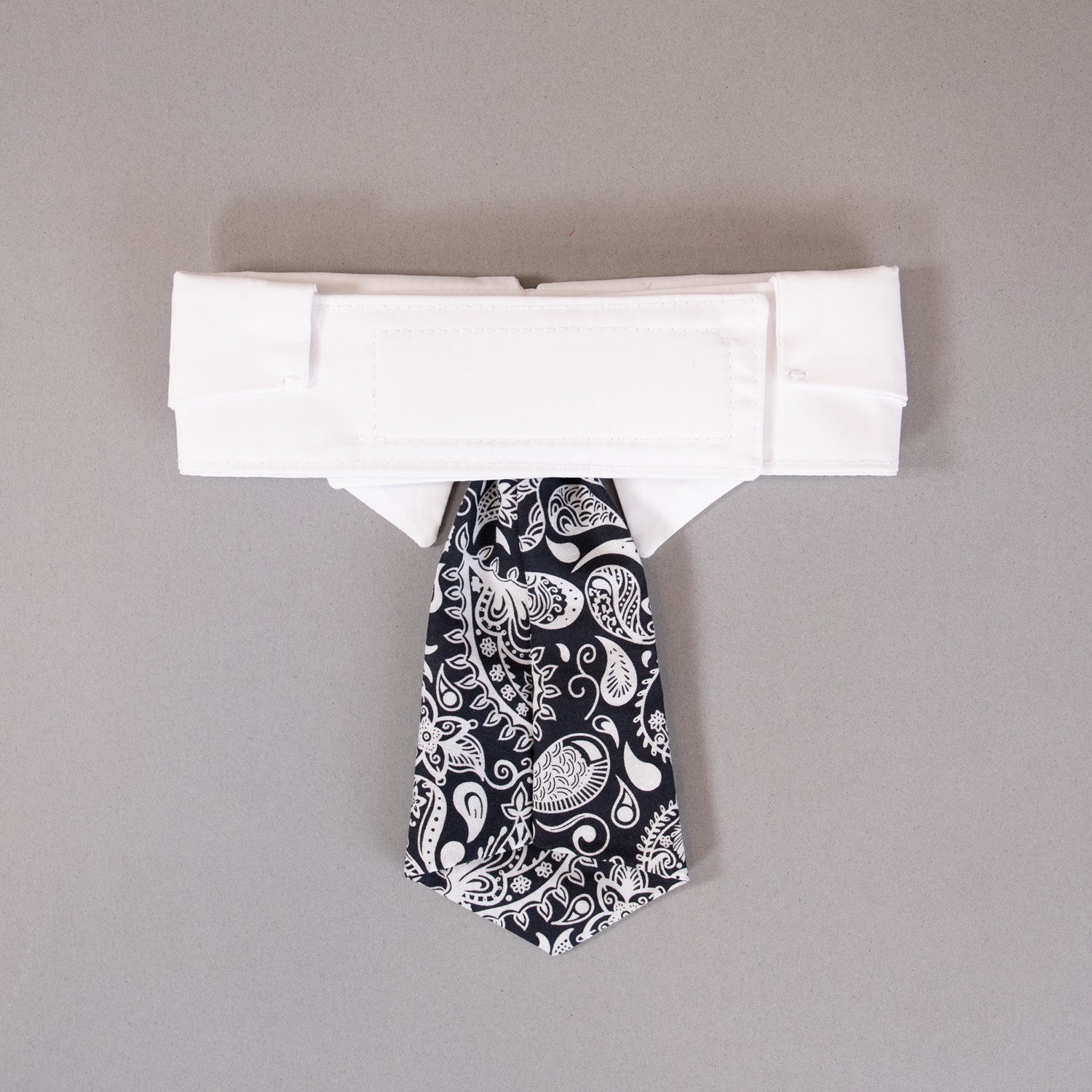 Paisley Tie